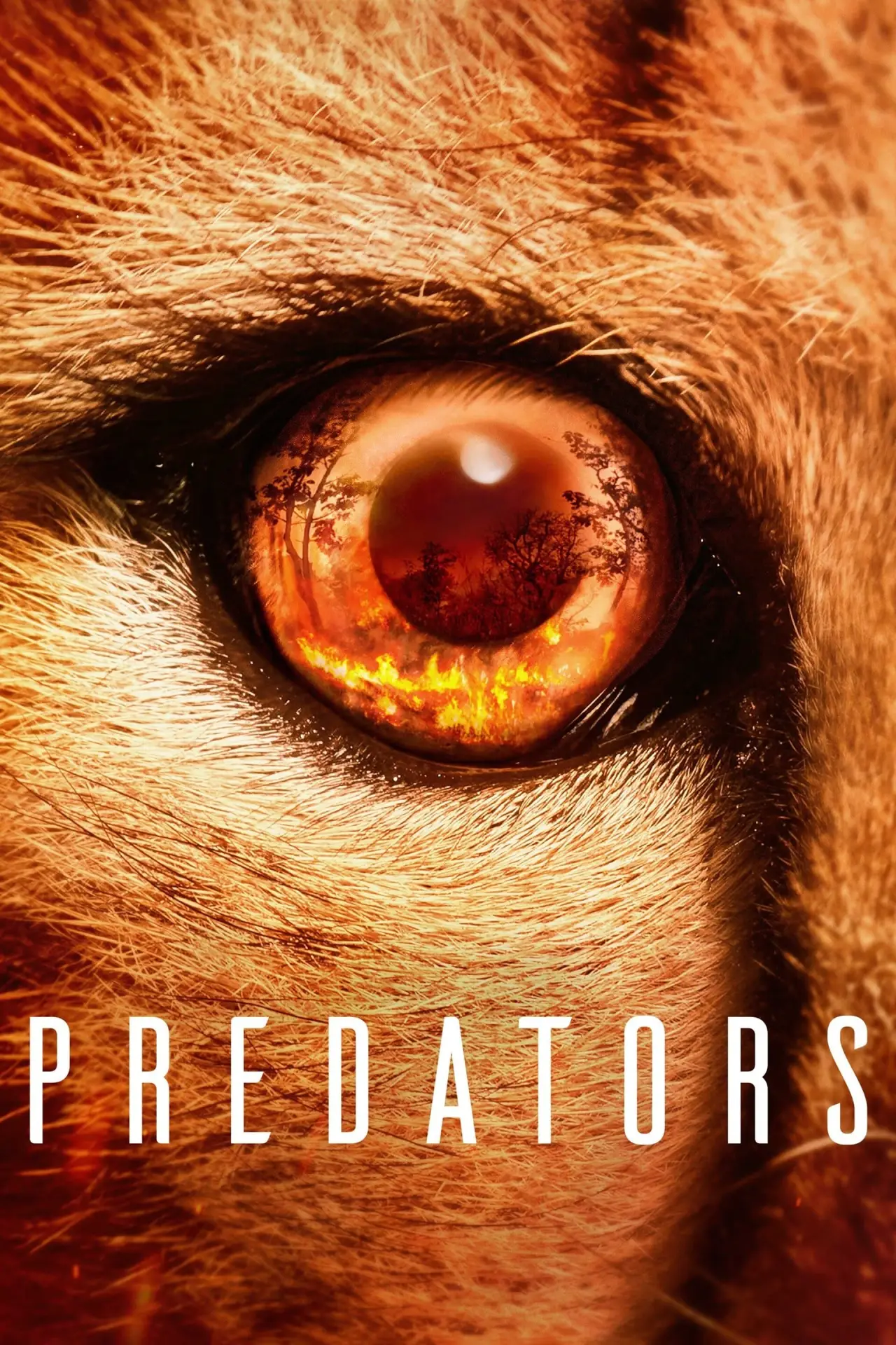 Series poster "Predators"