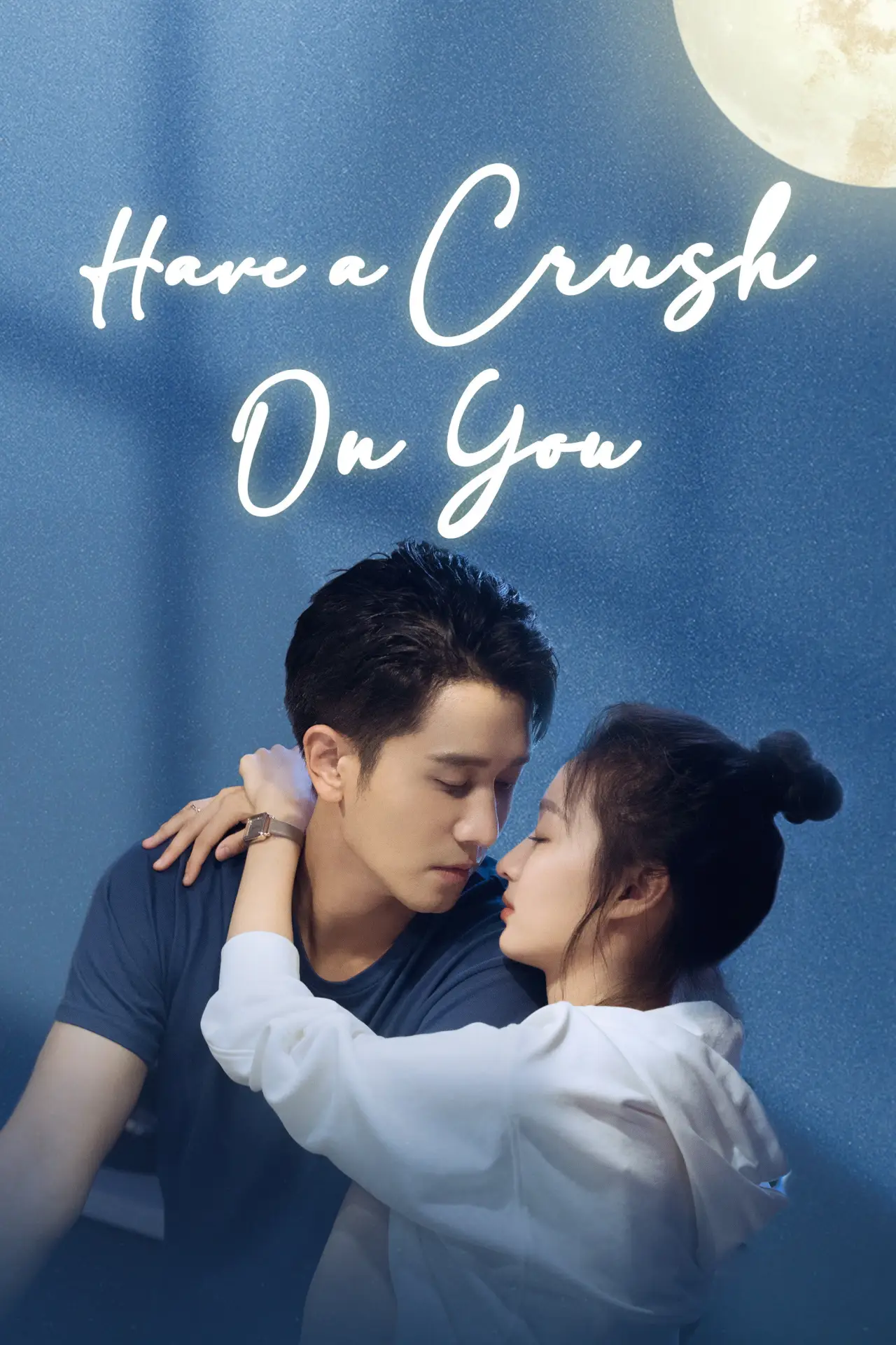 Series poster "Have a Crush On You"