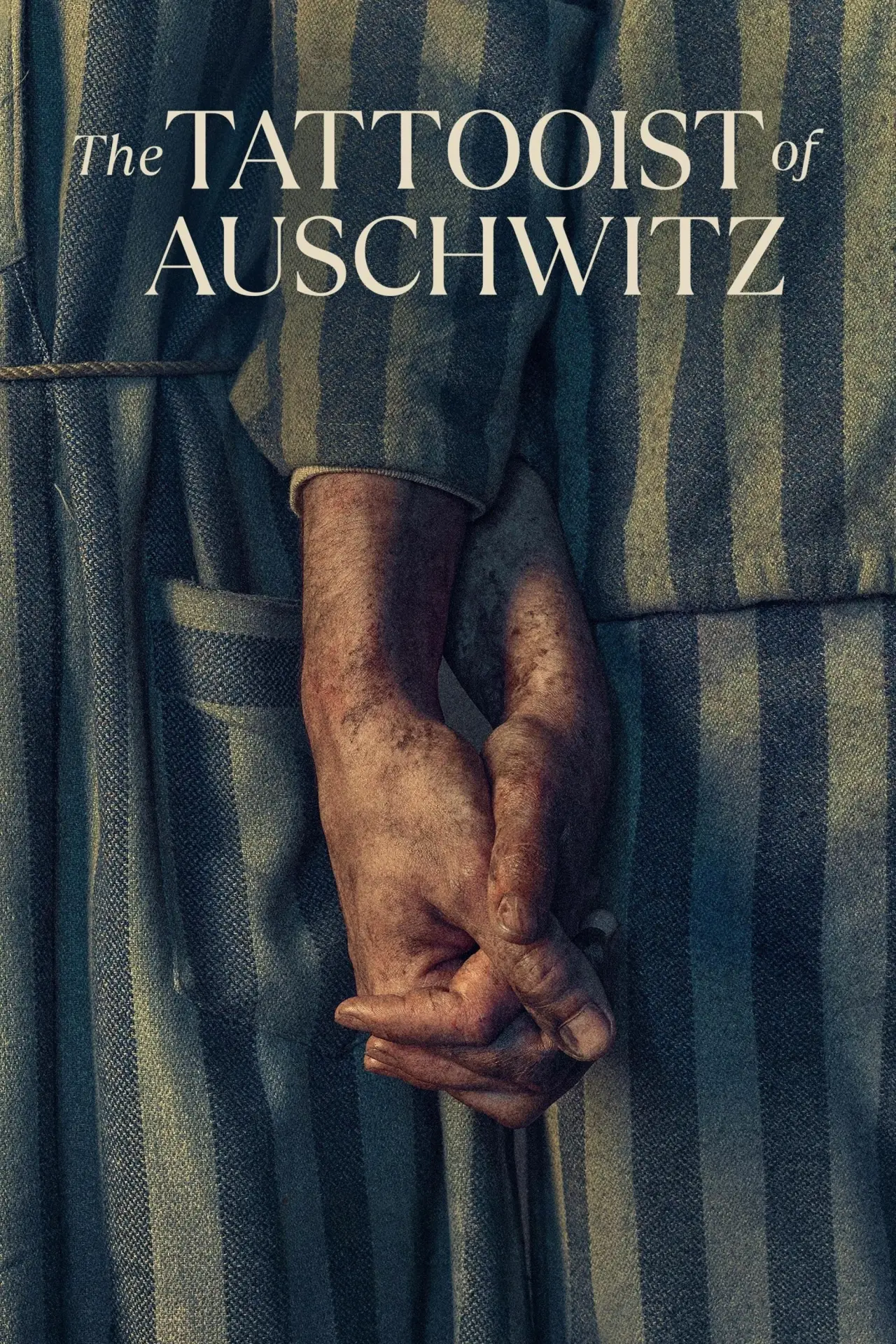 Series poster "The Tattooist of Auschwitz"