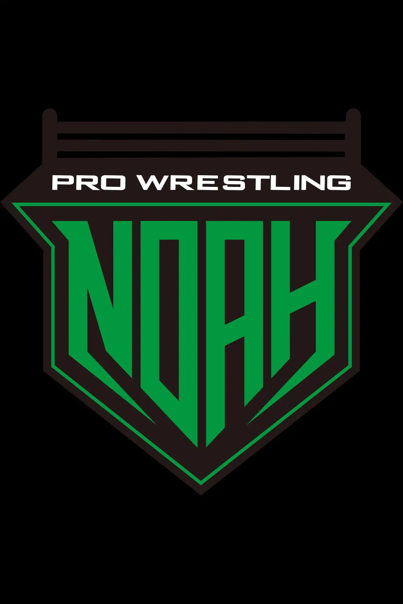 Series poster "Pro Wrestling NOAH"