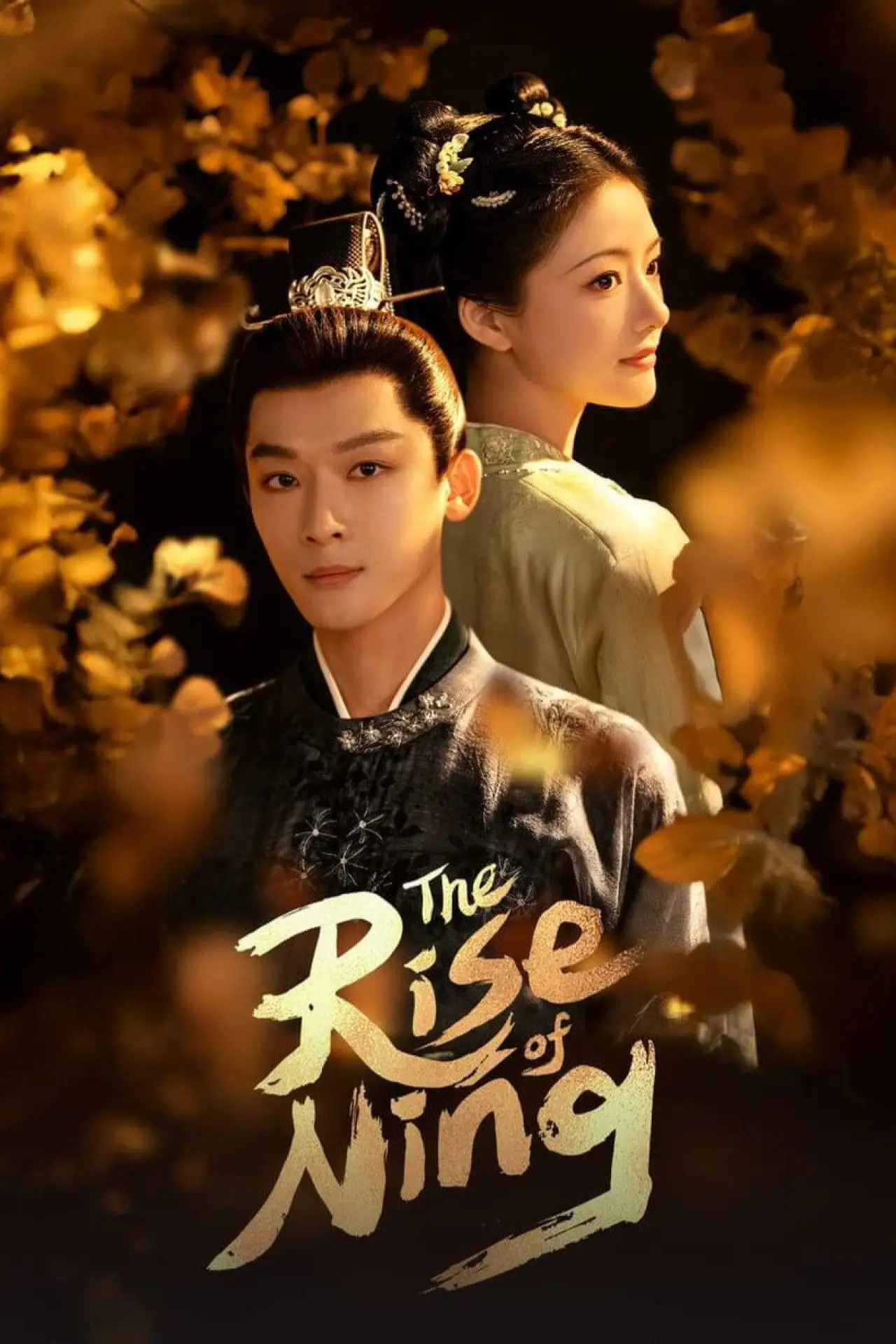 Series poster "The Rise of Ning"