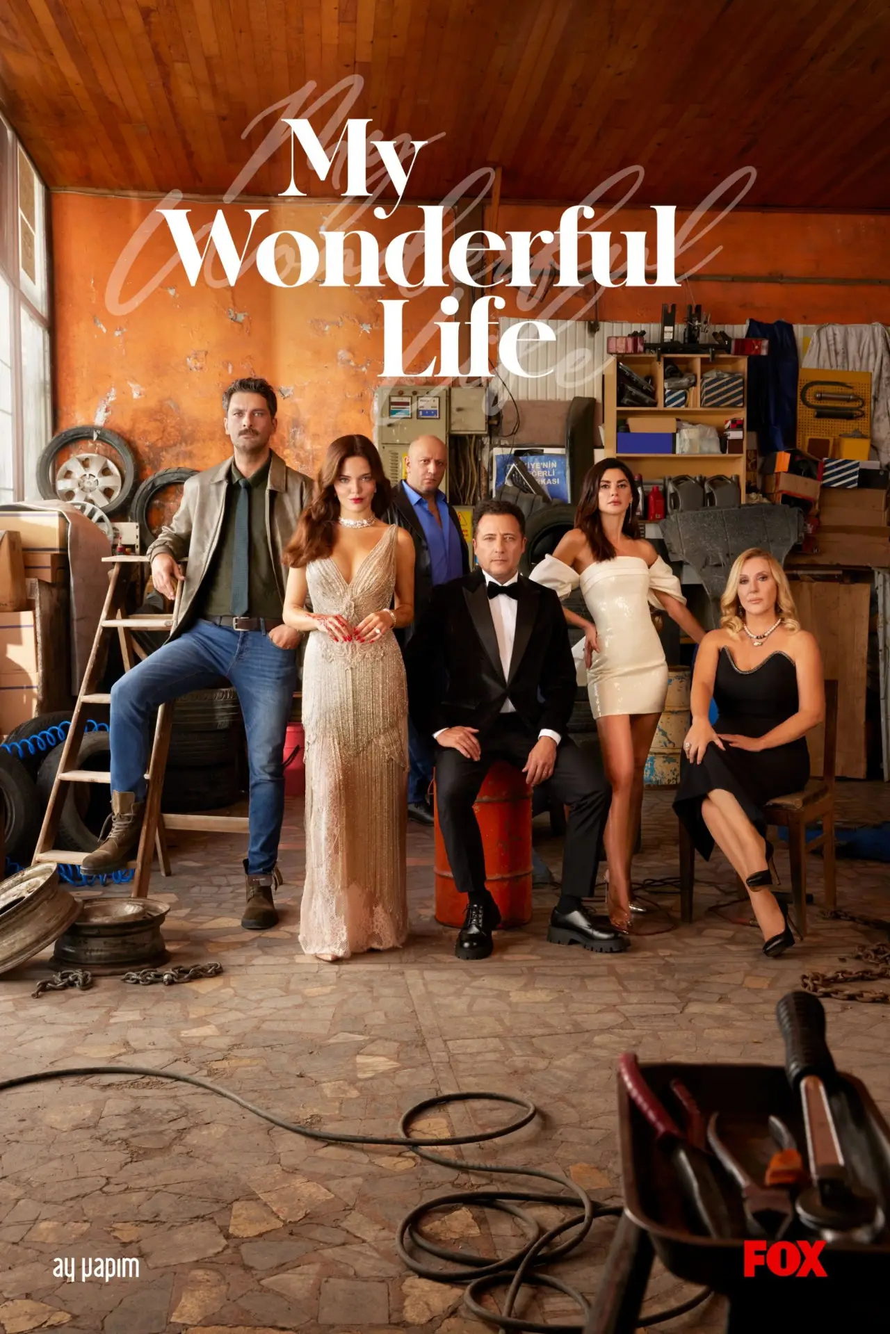 Series poster "My Wonderful Life"