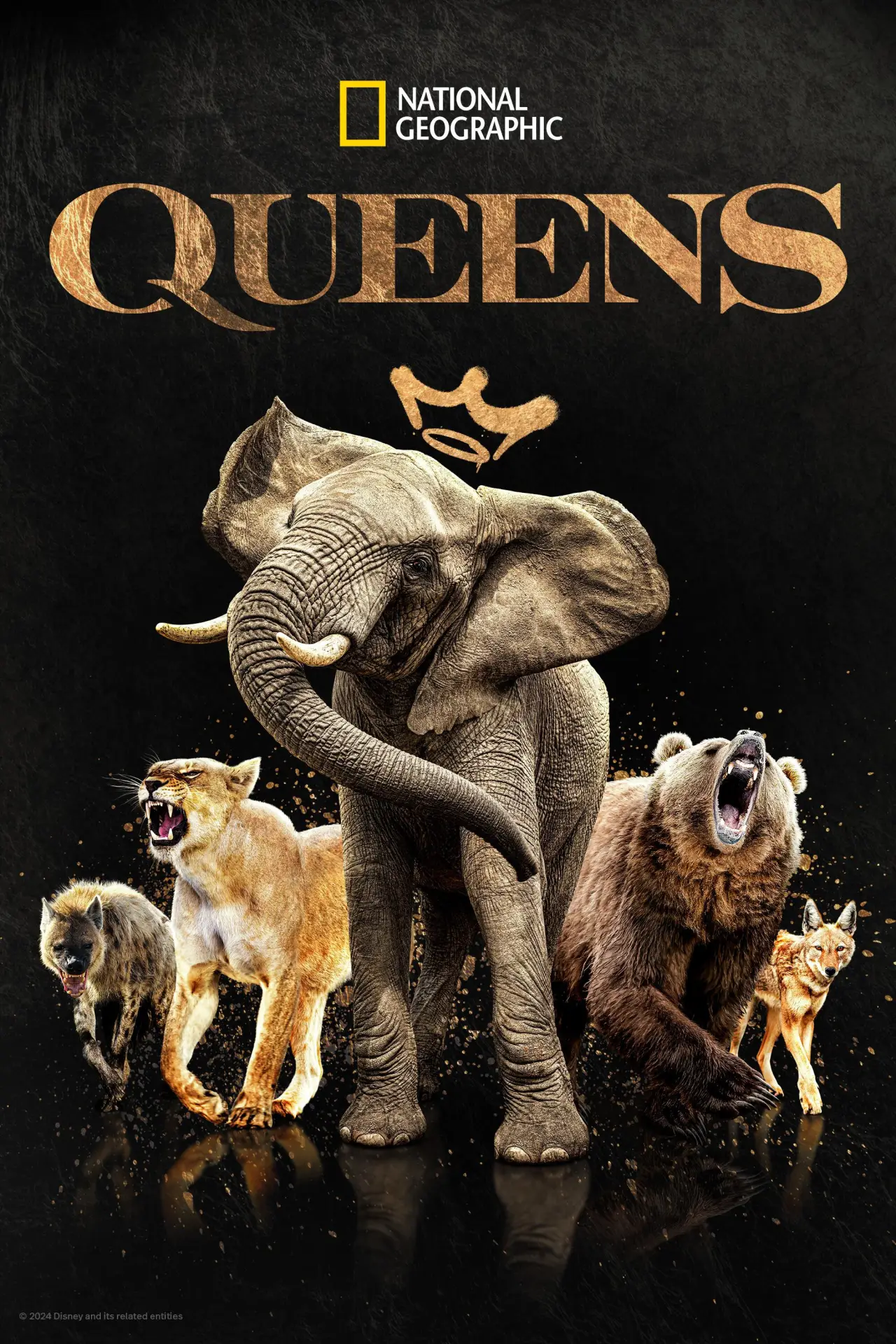 Series poster "Queens"