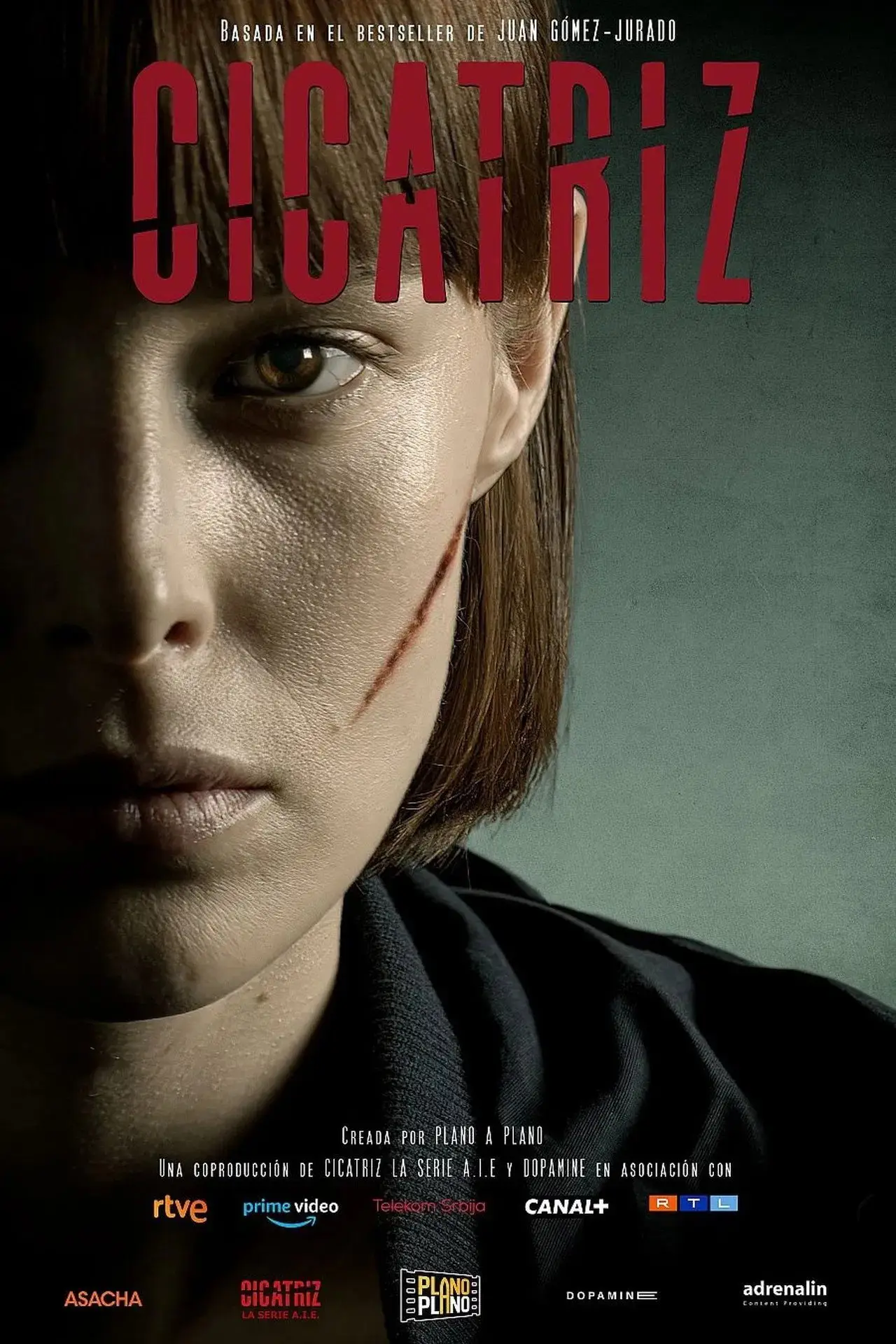 Series poster "Scar"