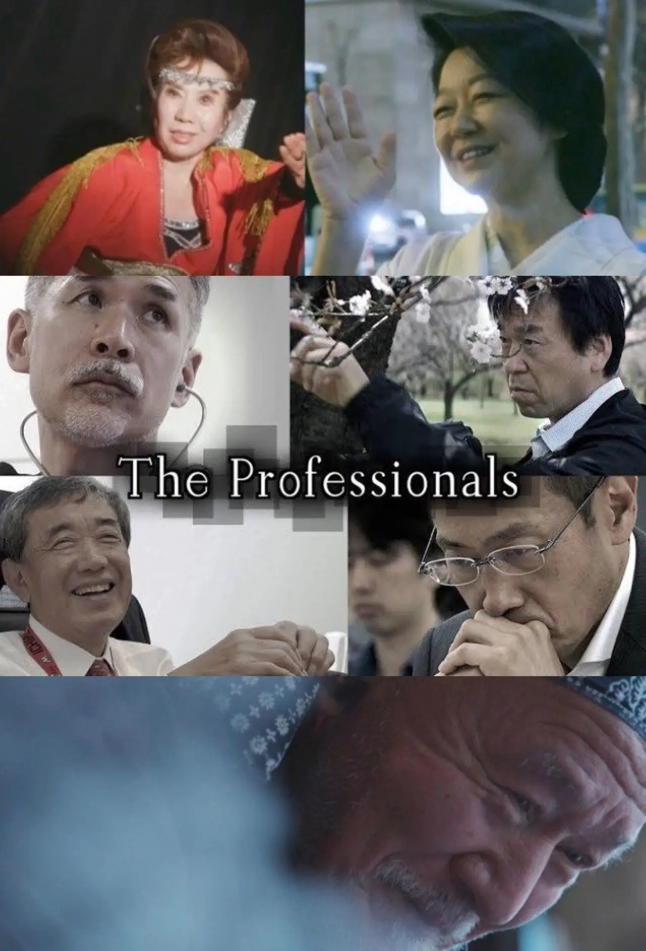 Series poster "The Professionals"