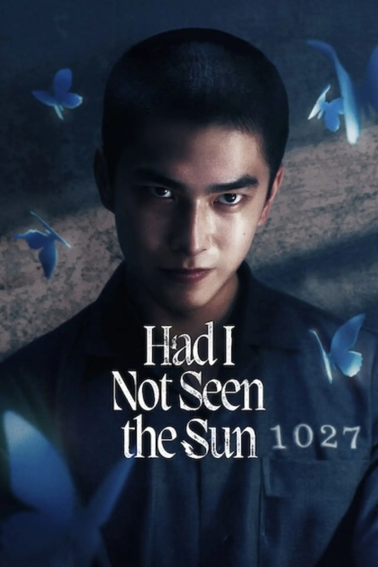 Series poster "Had I Not Seen the Sun"