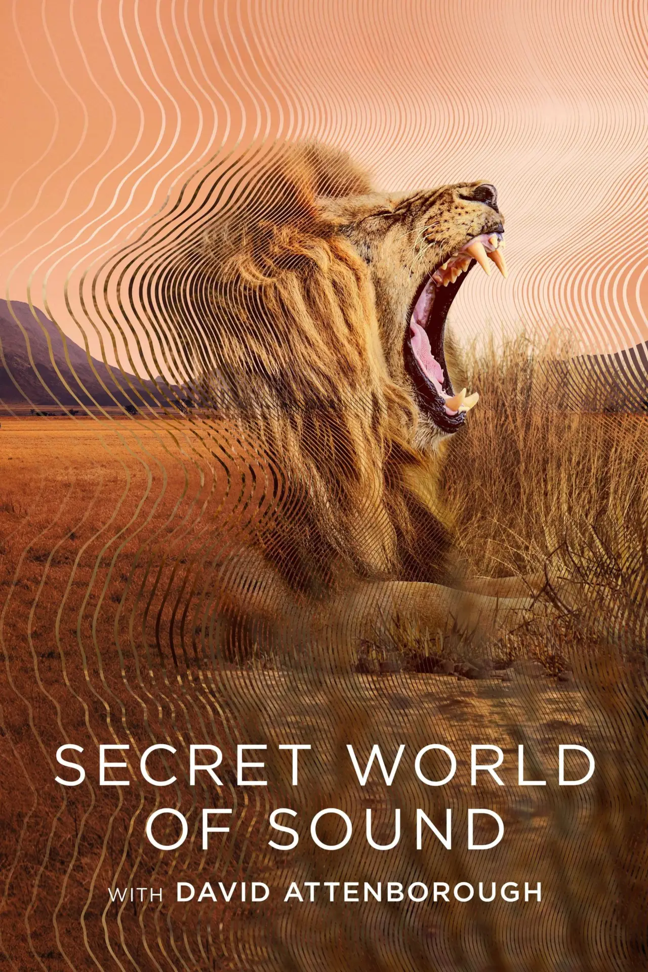 Series poster "Secret World of Sound"