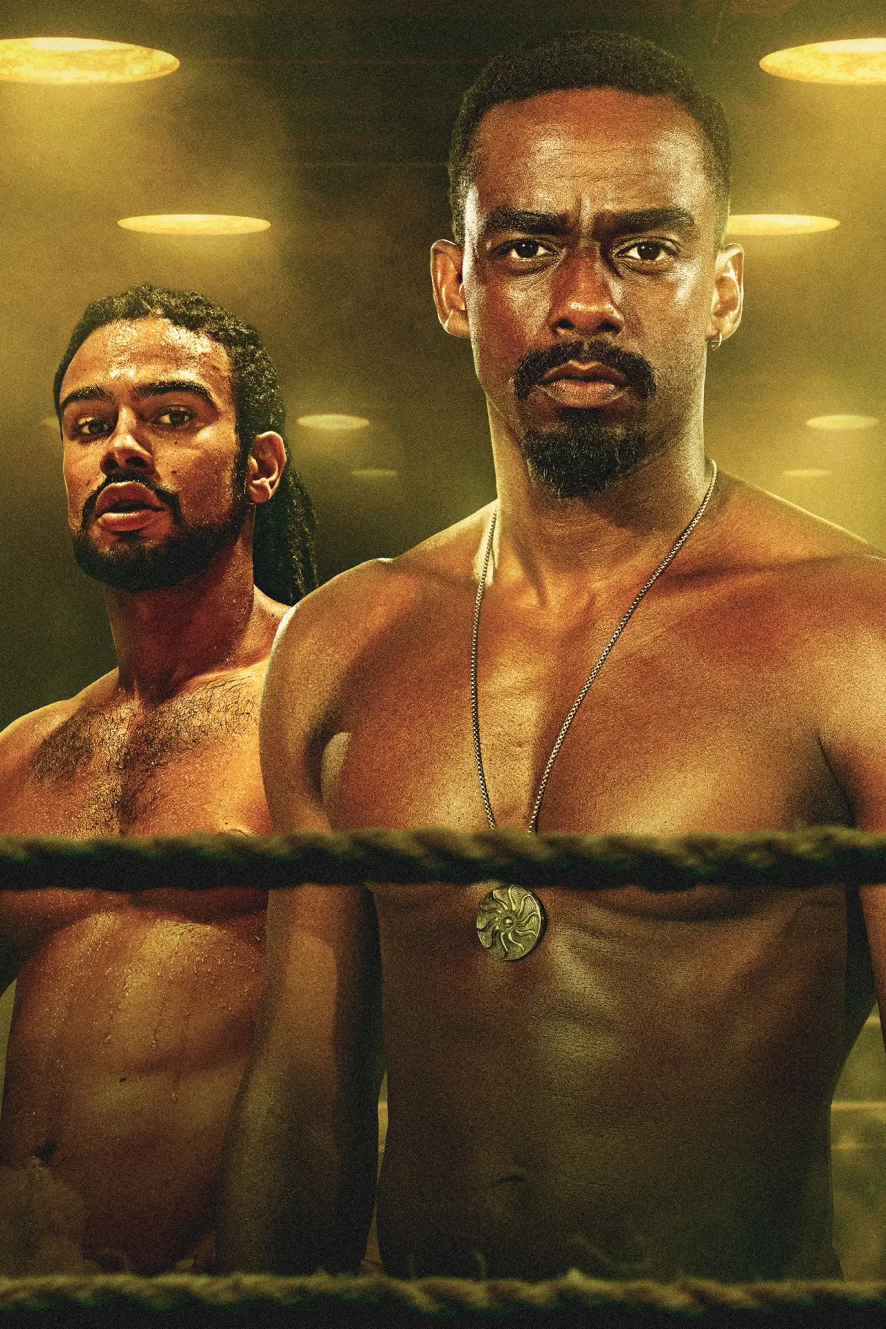 Series poster "Capoeiras"