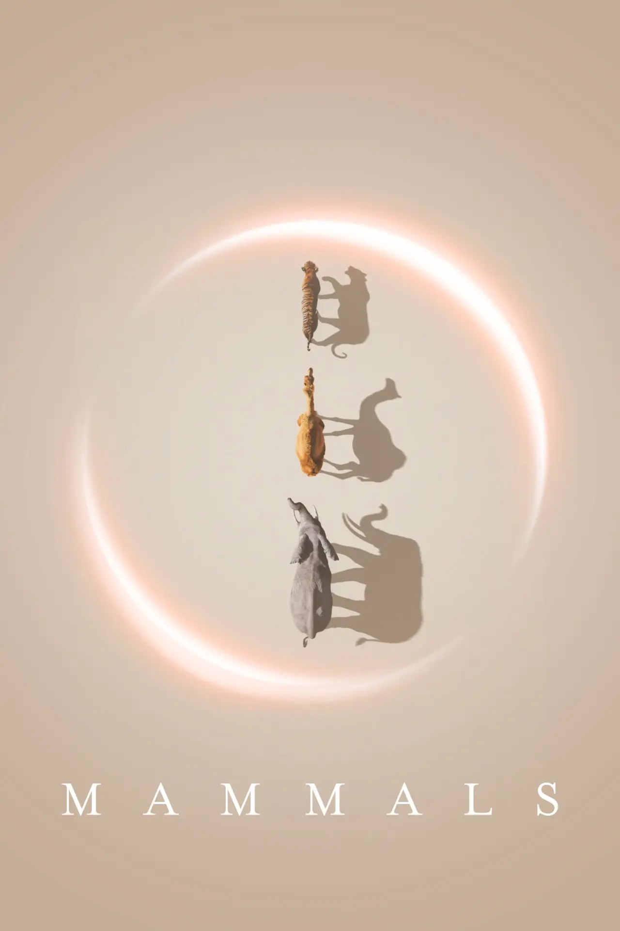 Series poster "Mammals"
