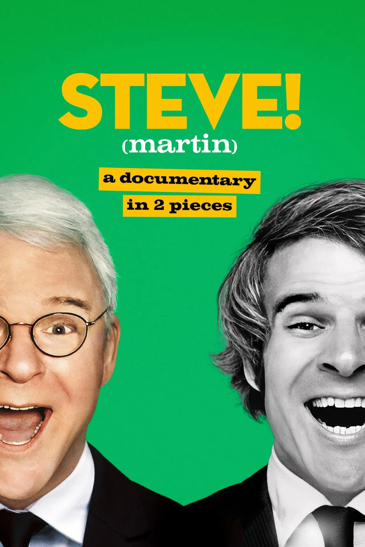 Series poster "STEVE! (martin) a documentary in 2 pieces"