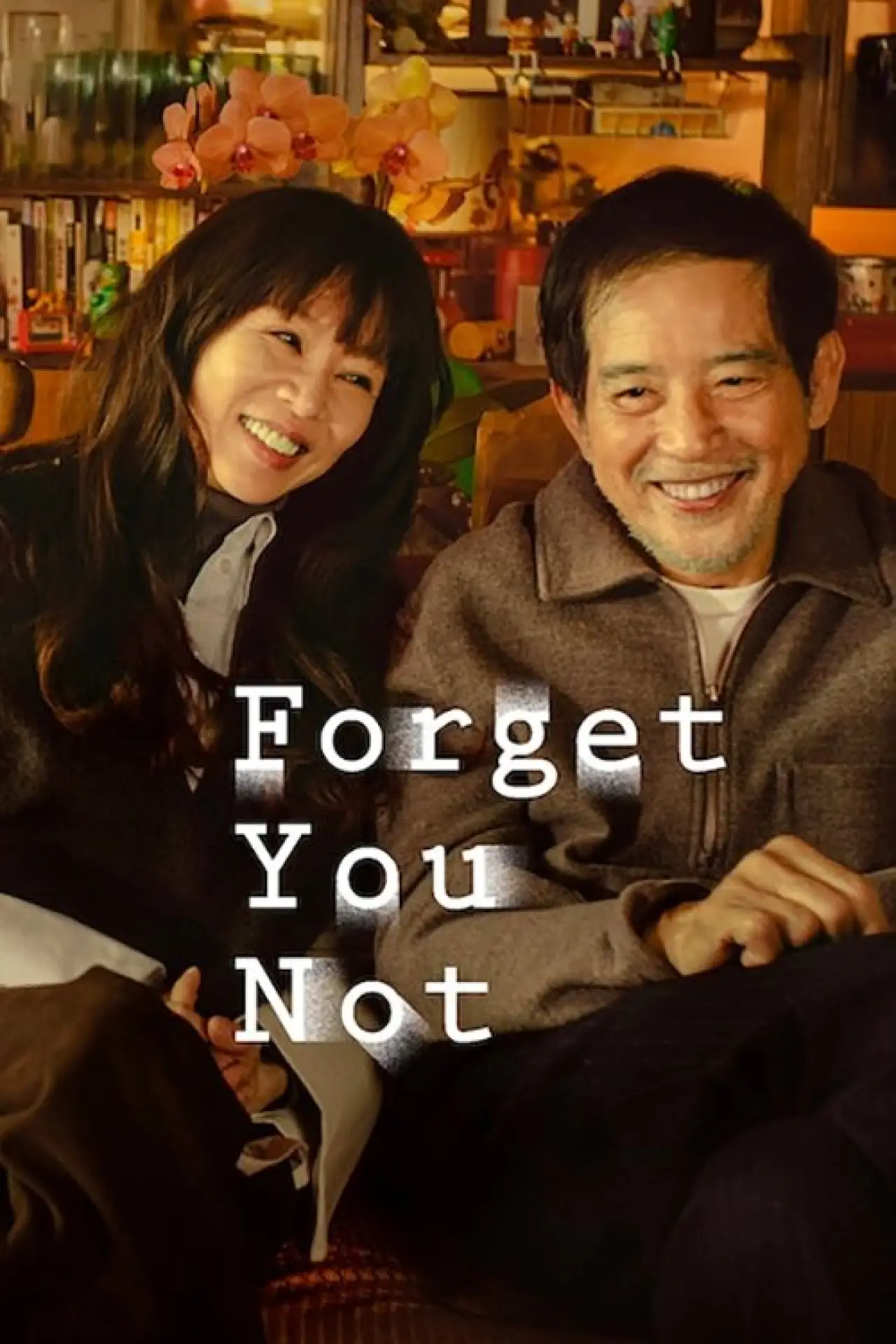 Series poster "Forget You Not"