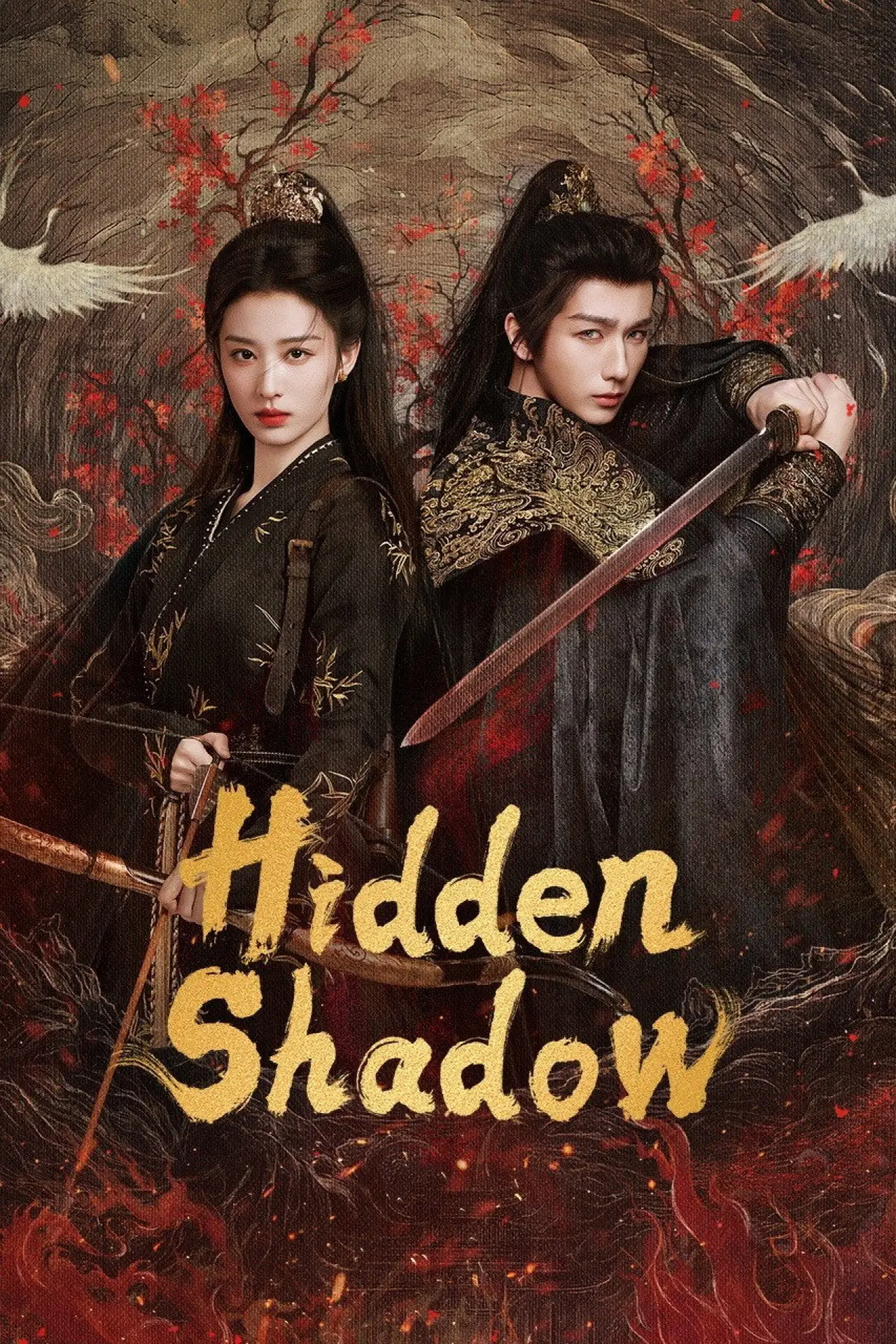 Series poster "Hidden Shadow"