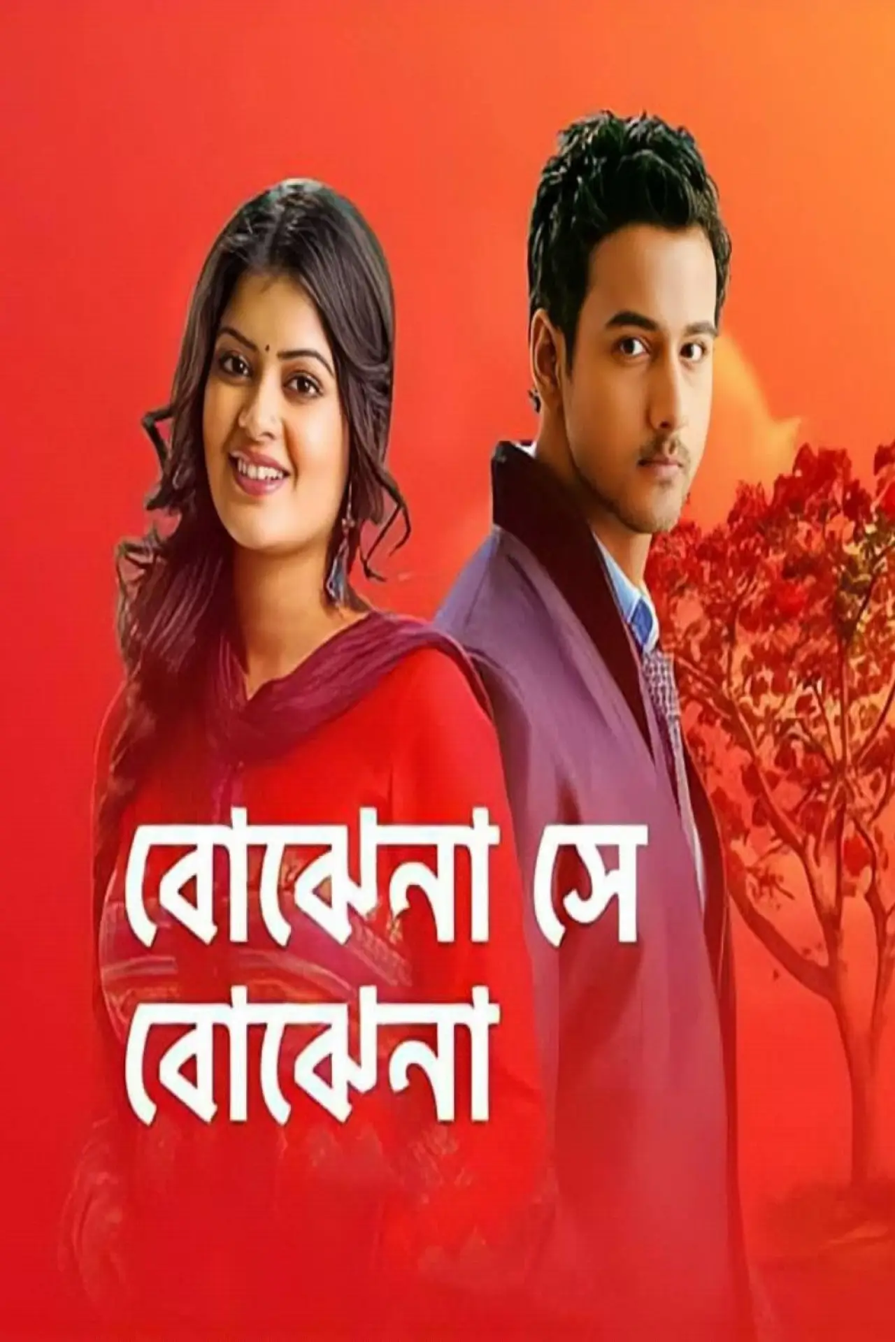 Series poster "Bojhena Se Bojhena"