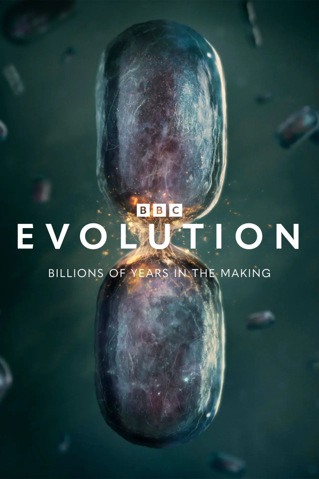 Series poster "Evolution"