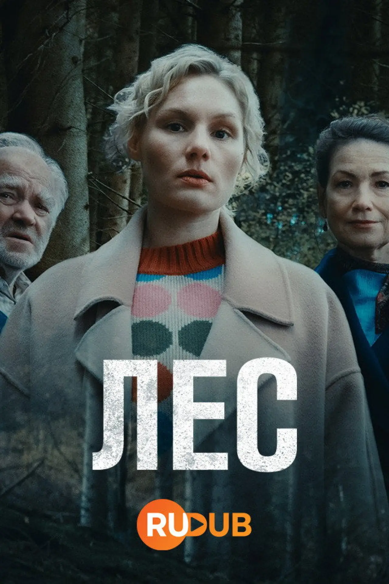 Series poster "Wäldern"