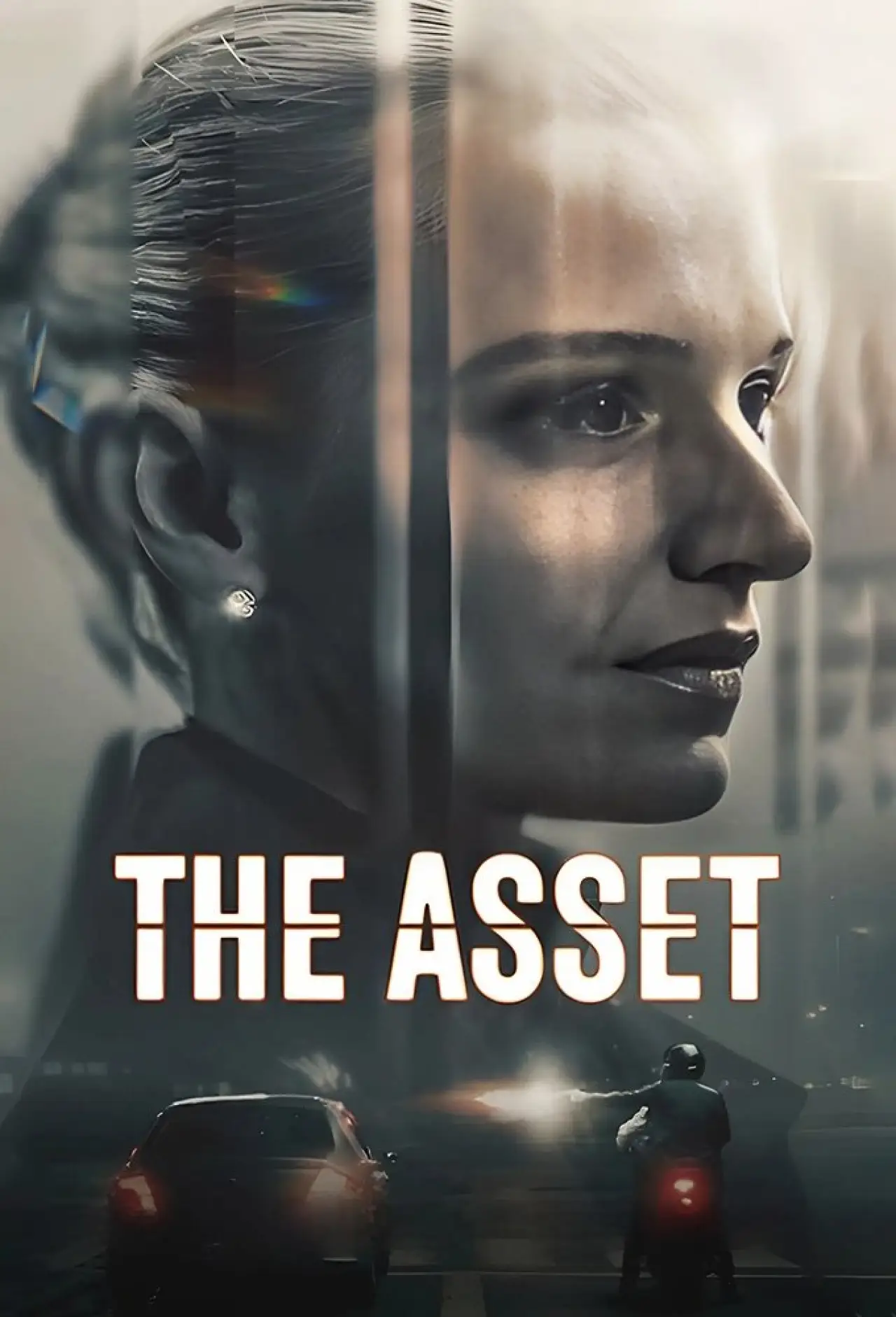 Series poster "The Asset"