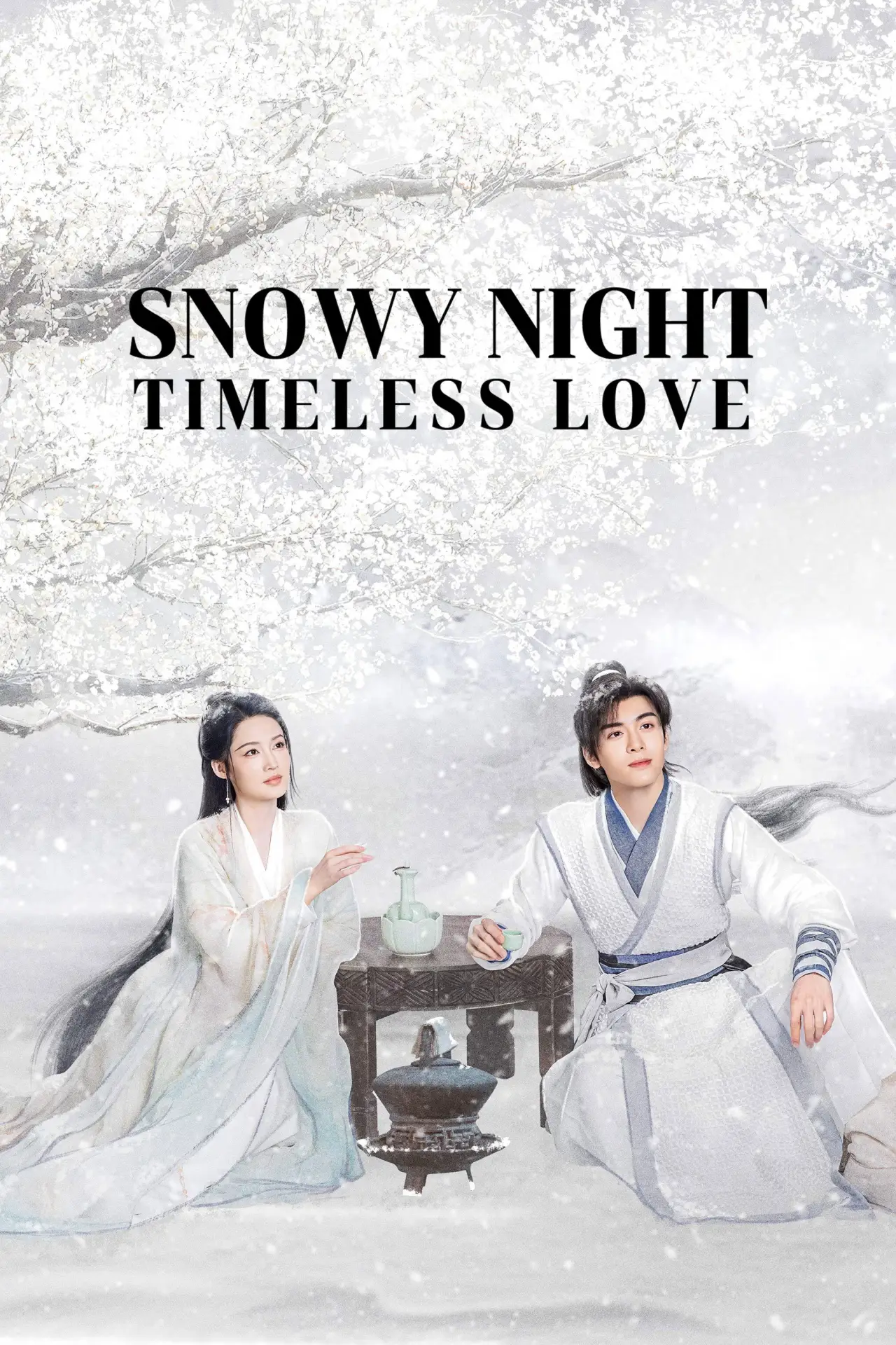 Series poster "Snowy Night Timeless Love"