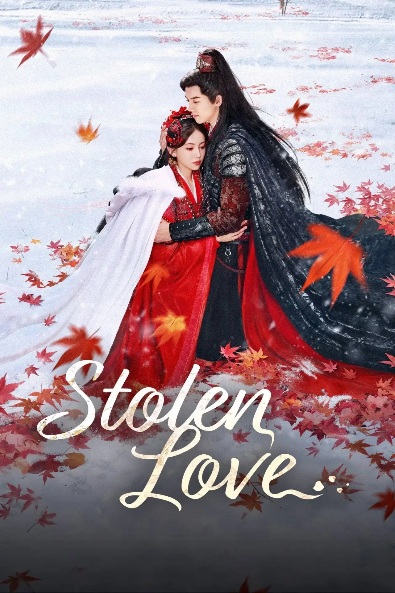 Series poster "Stolen Love"