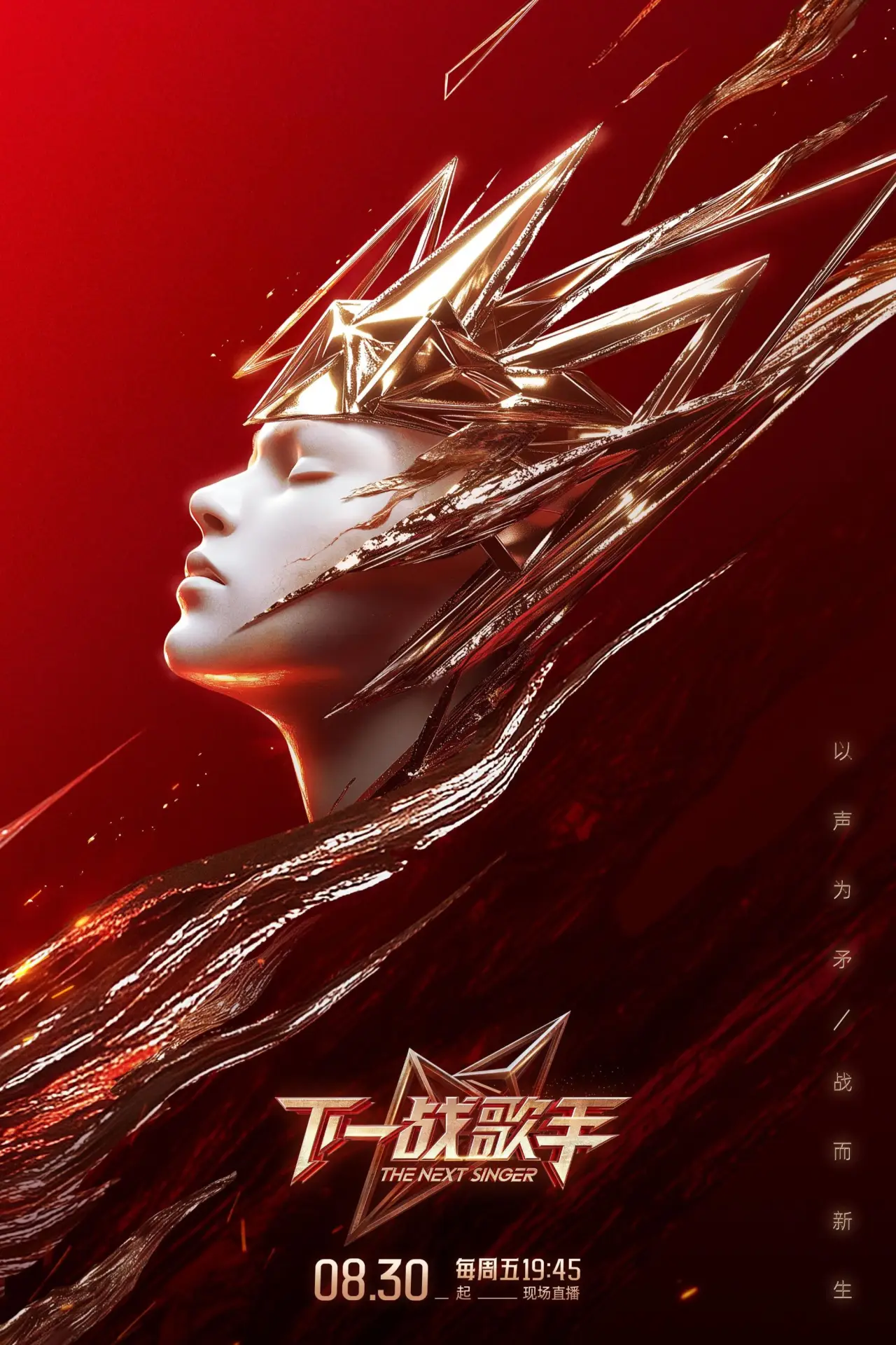 Series poster "The Next Singer"