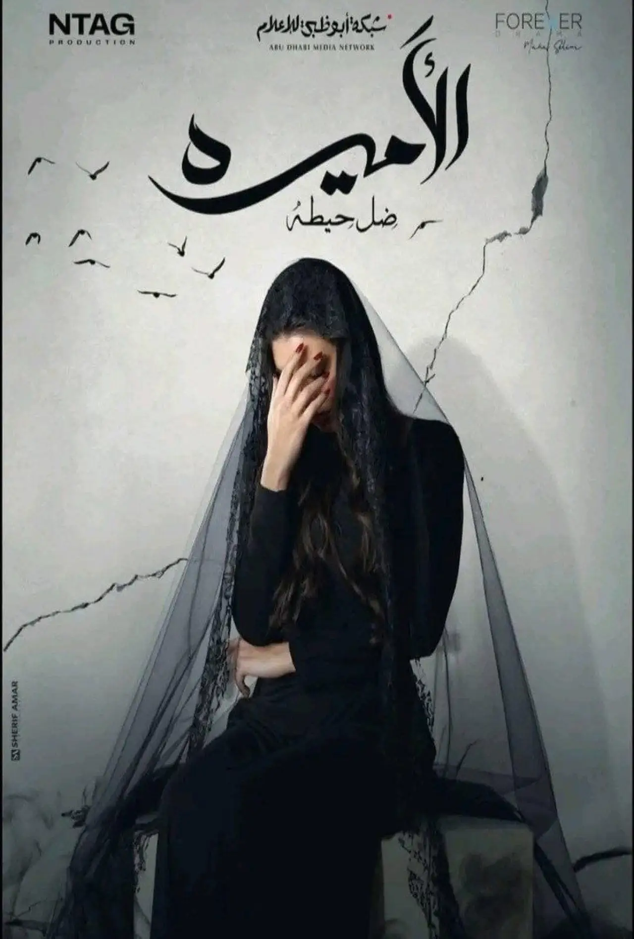 Series poster "Al-Ameera: Thill Haita"