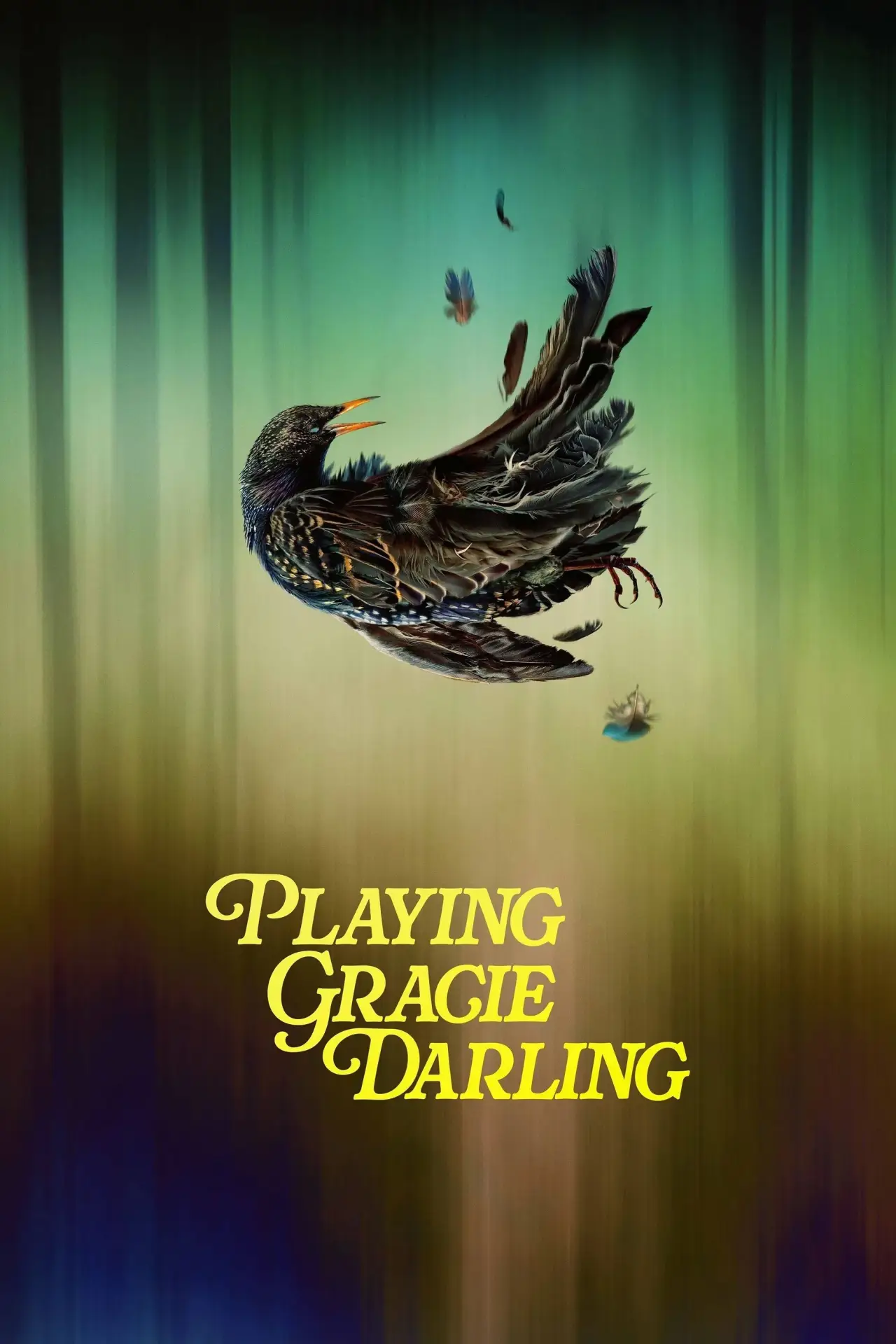 Series poster "Playing Gracie Darling"