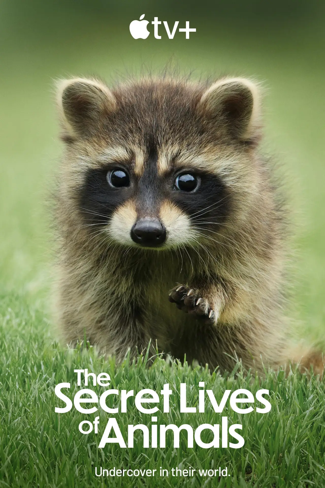 Series poster "The Secret Lives of Animals"