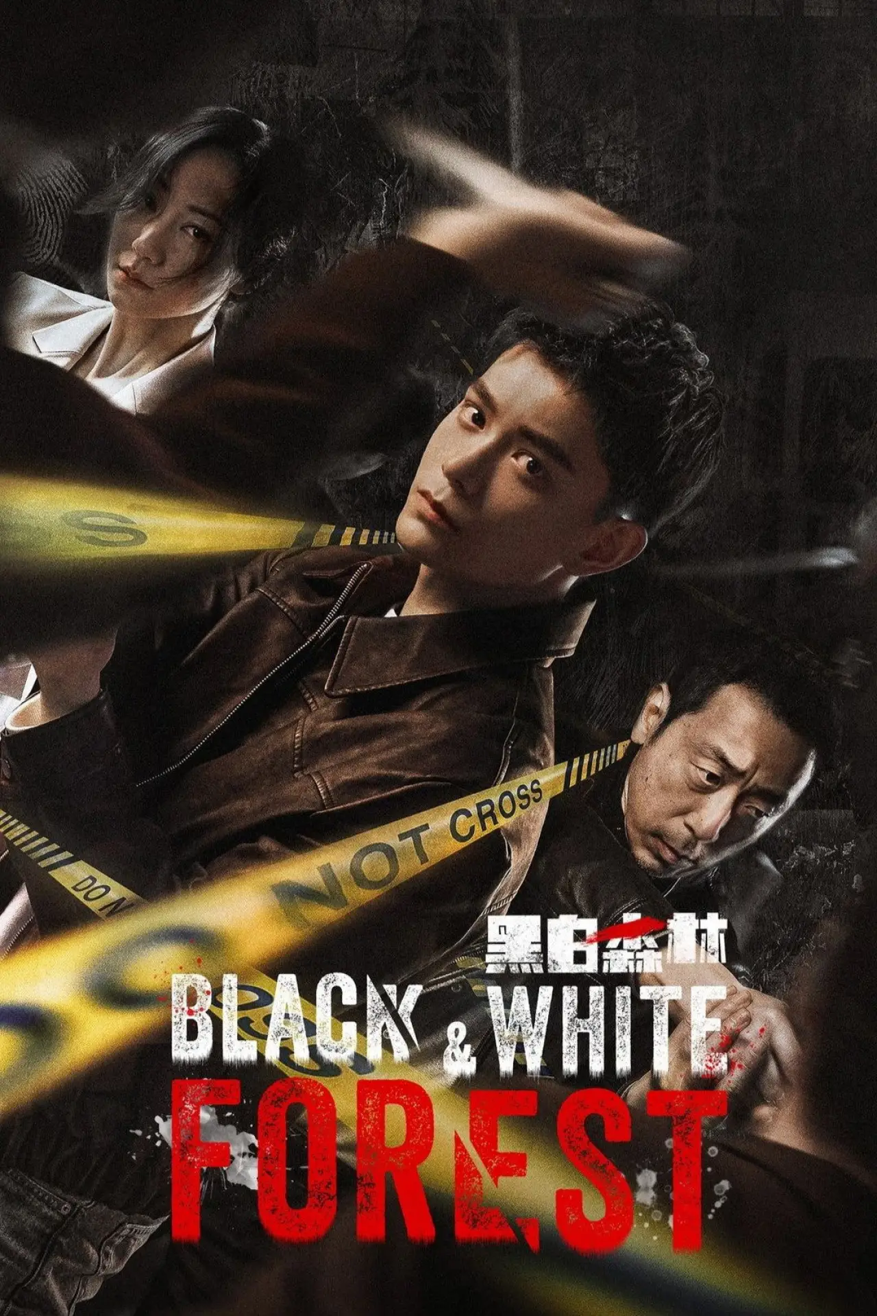 Series poster "Black & White Forest"