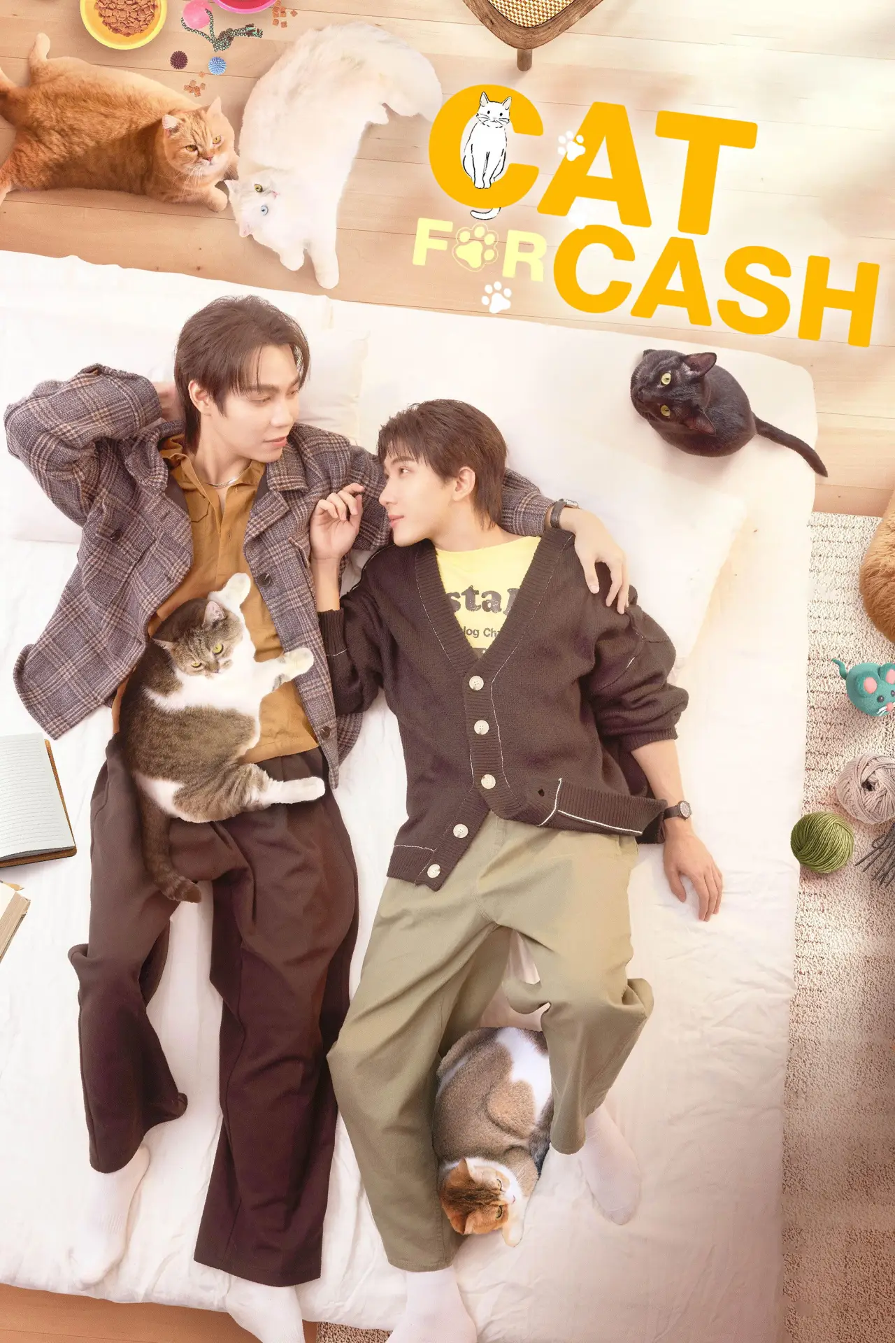 Постер к сериалу "Cat for Cash"