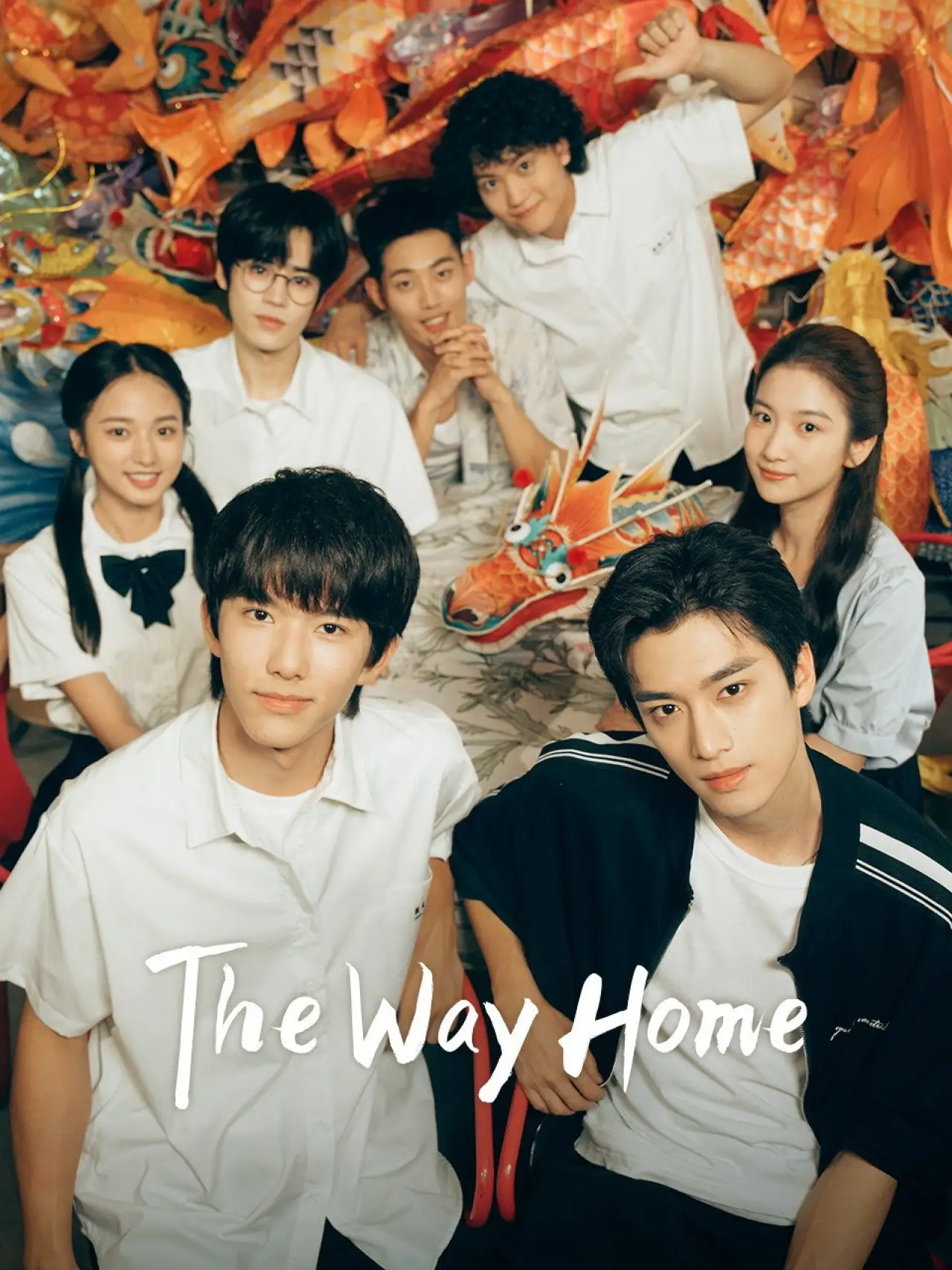 Series poster "The Way Home"