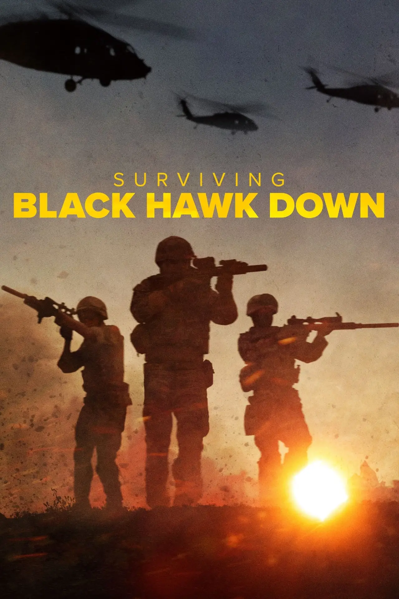 Series poster "Surviving Black Hawk Down"