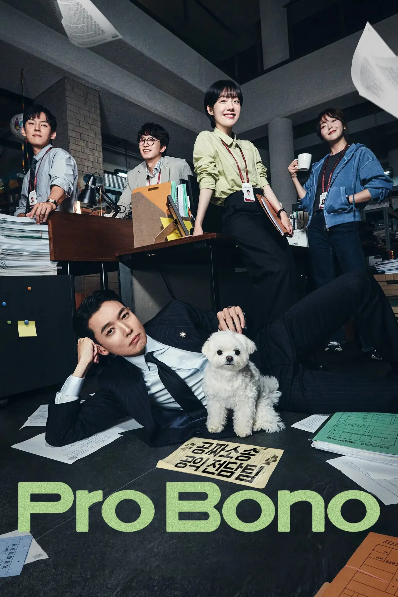 Постер к сериалу "Pro Bono"
