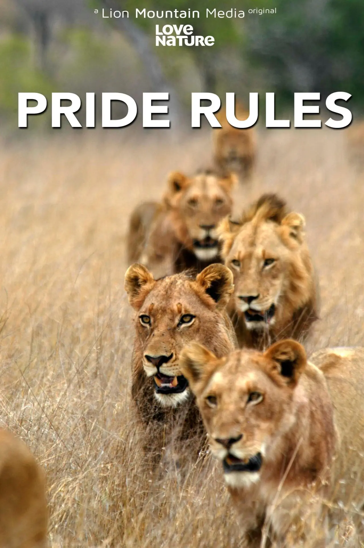 Series poster "Pride Rules"