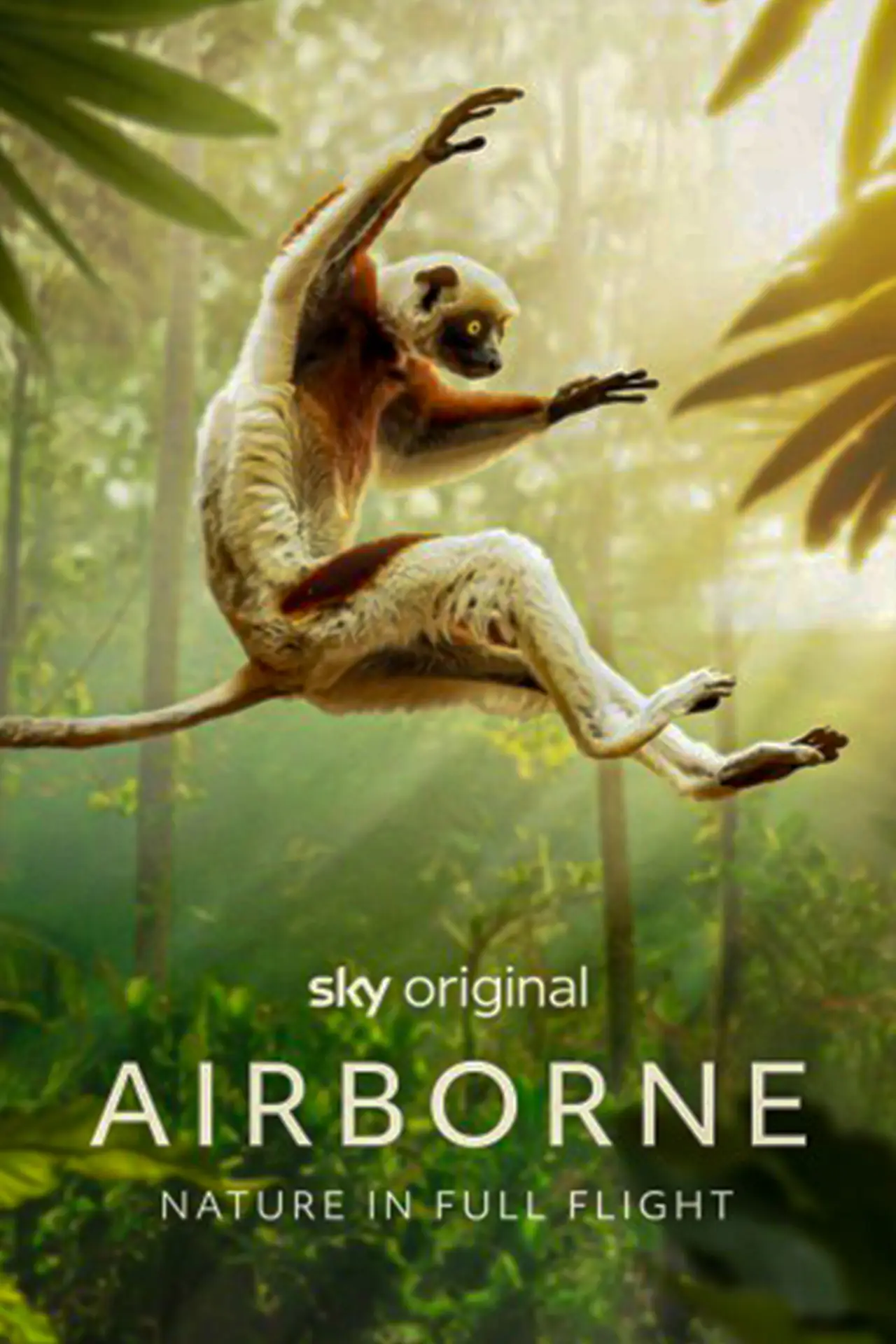 Series poster "Airborne"