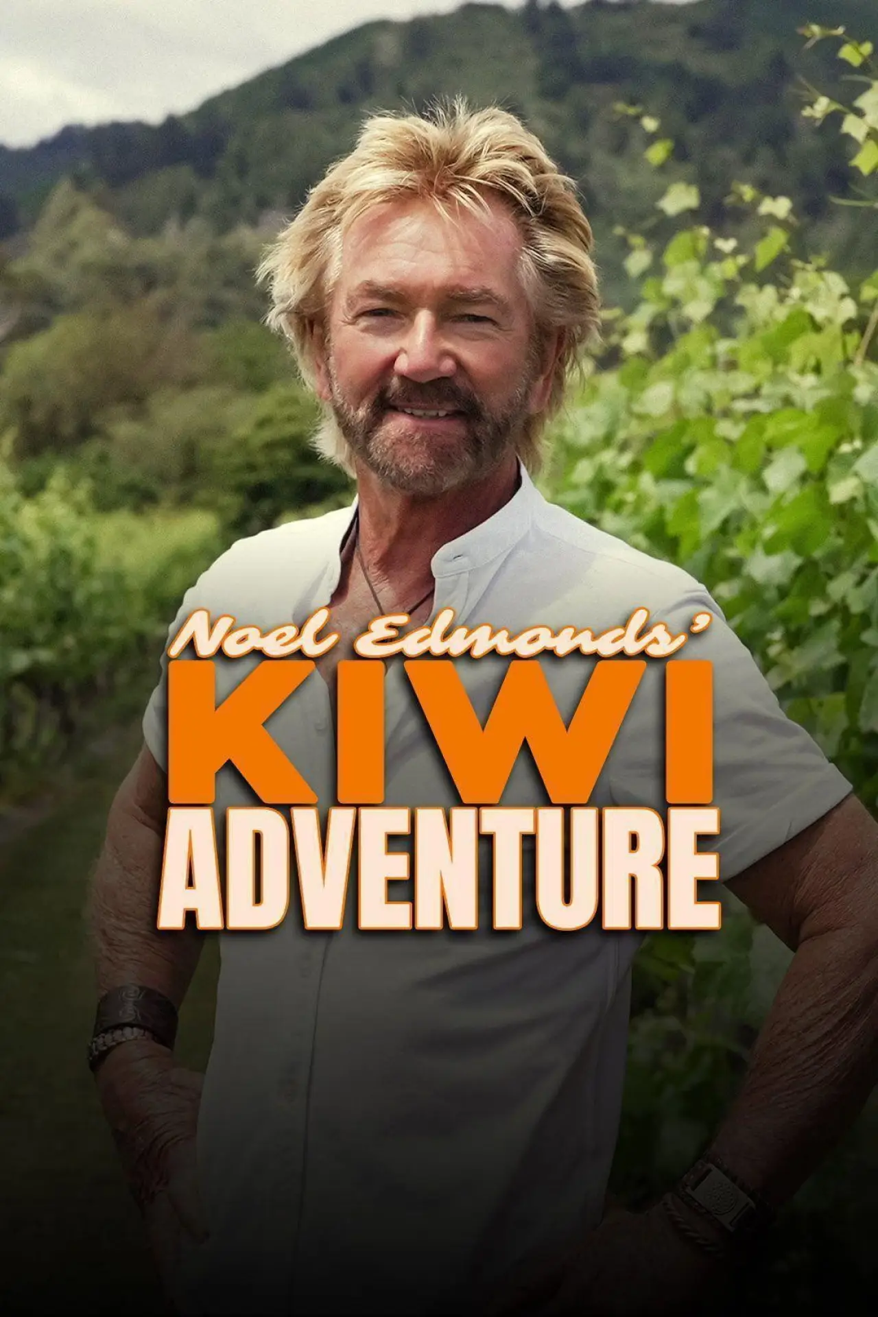Series poster "Noel Edmonds