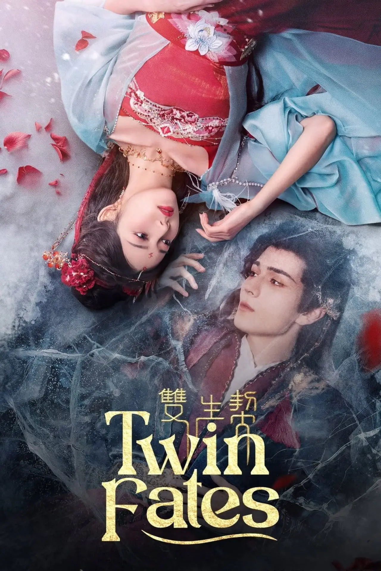 Series poster "Twin Fates"