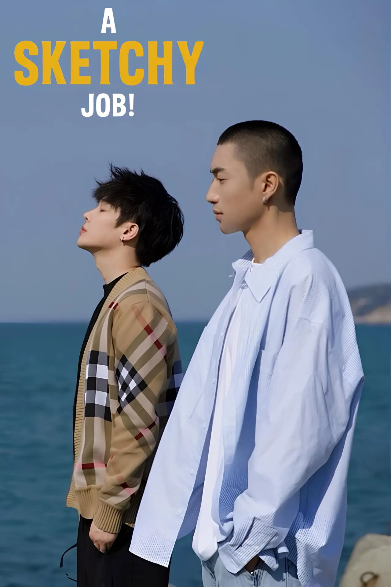 Series poster "A Sketchy Job"