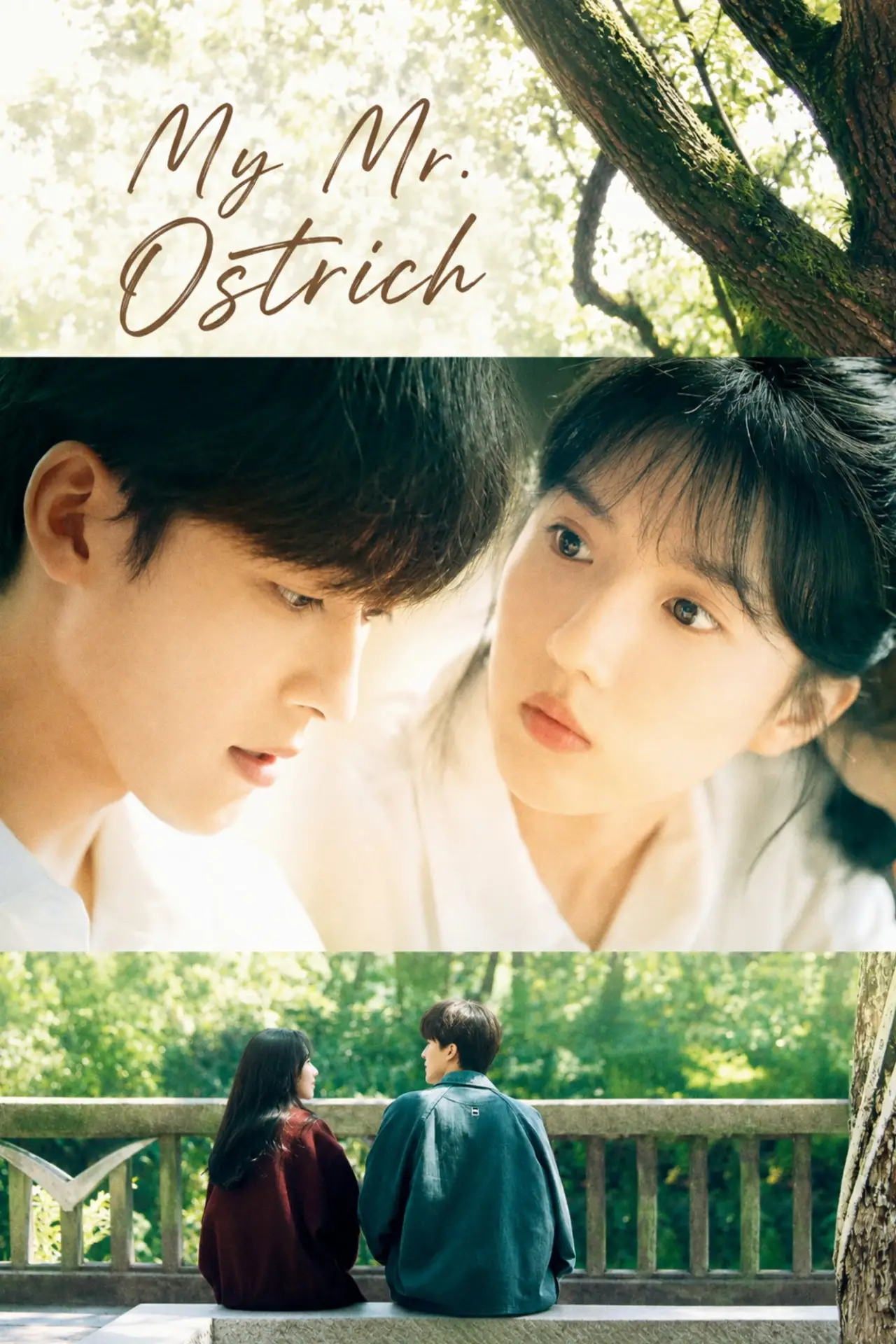Постер к сериалу "My Mr. Ostrich"