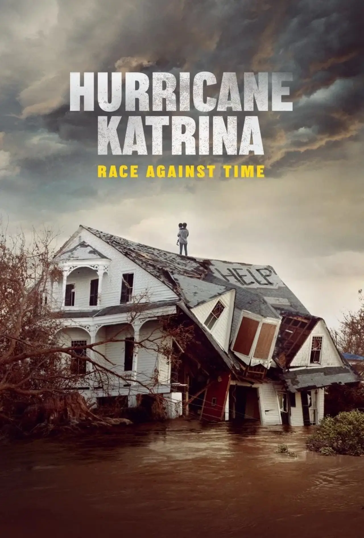 Series poster "Hurricane Katrina: Race Against Time"