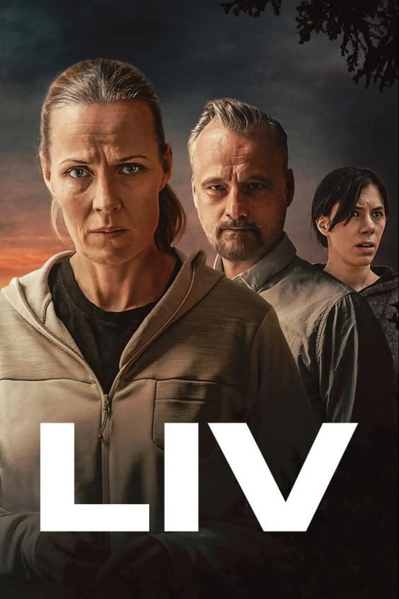 Series poster "Liv"