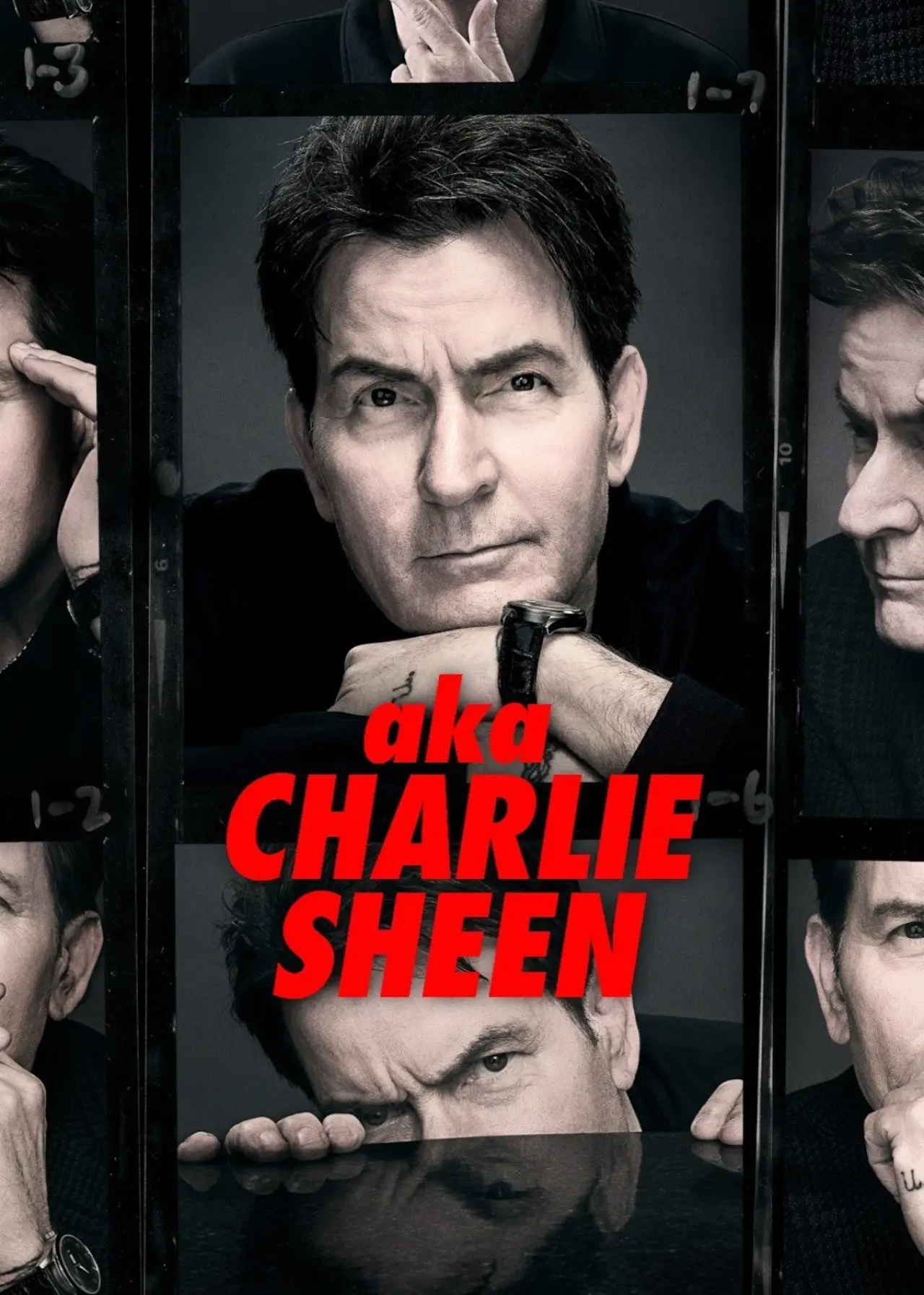 Постер к сериалу "aka Charlie Sheen"