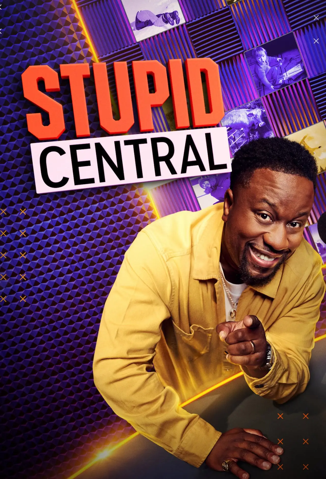 Series poster "Stupid Central"