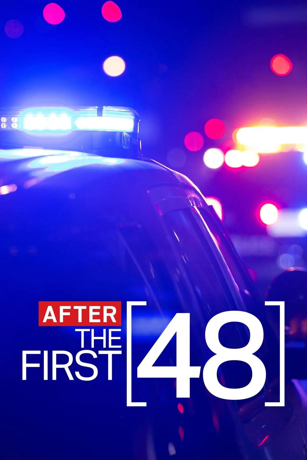Series poster "After the First 48"