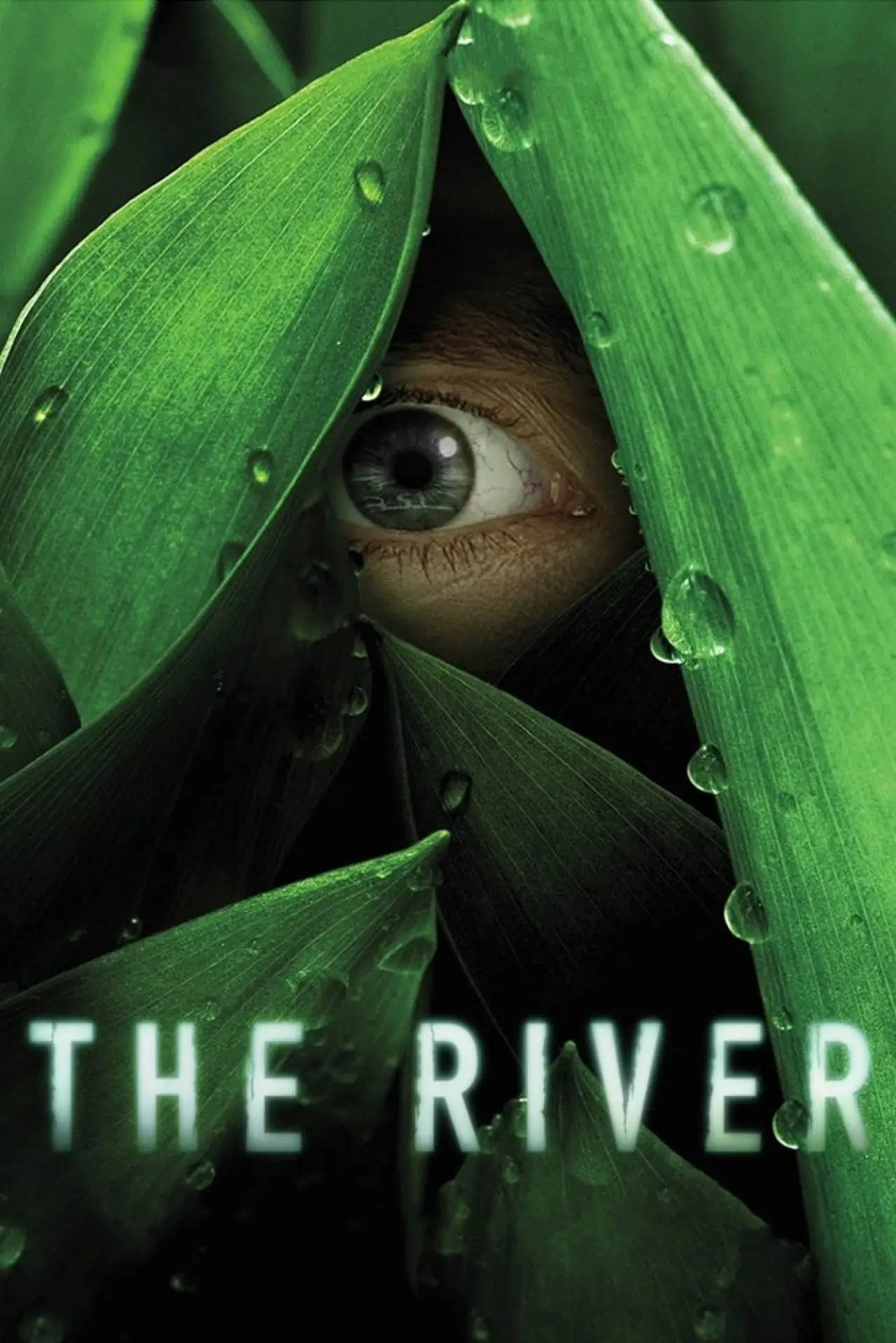 Постер к сериалу "The River"