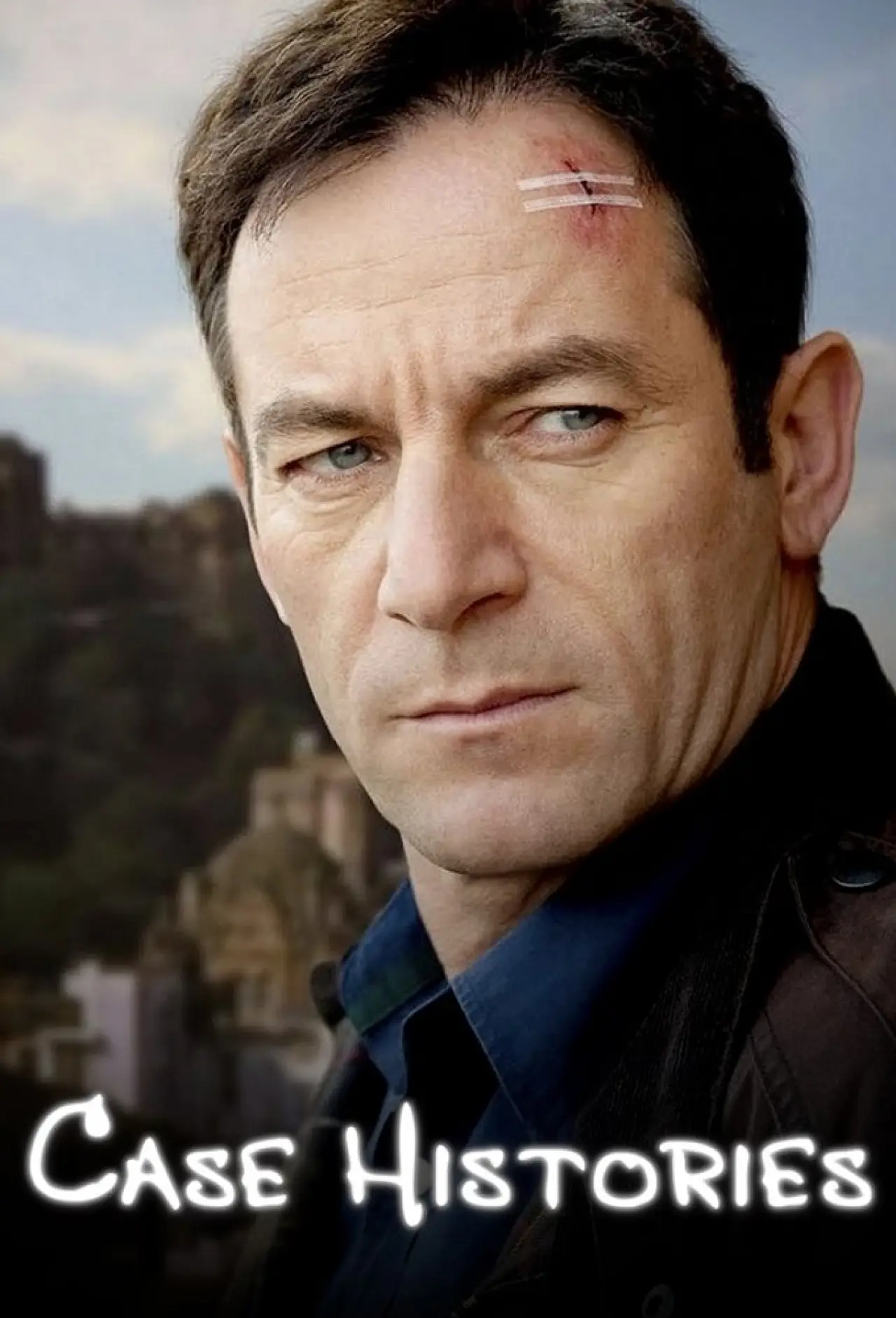 Series poster "Case Histories"