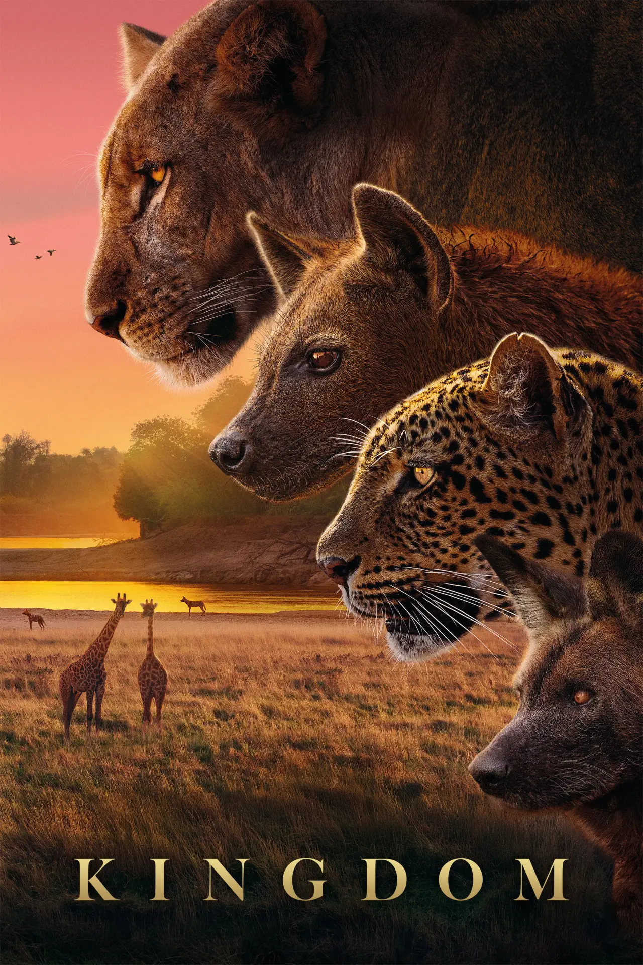 Series poster "Kingdom"