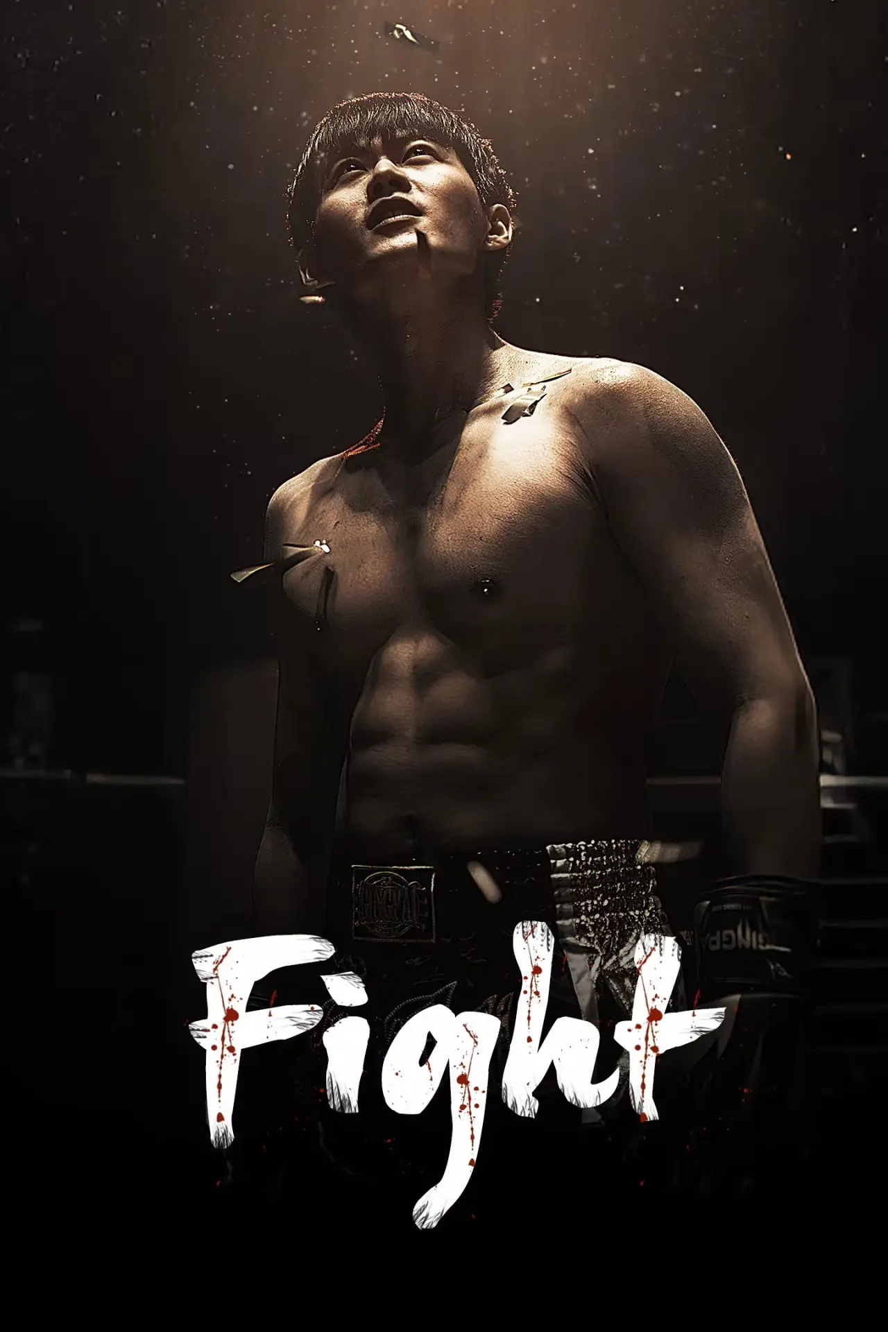 Постер к сериалу "Fight"