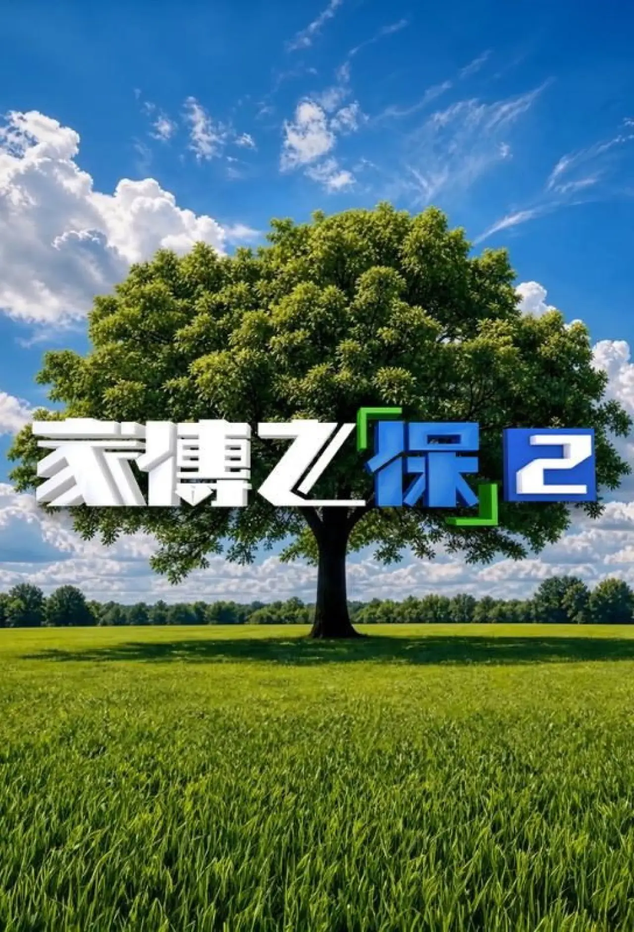 Series poster "家傳之「保」"