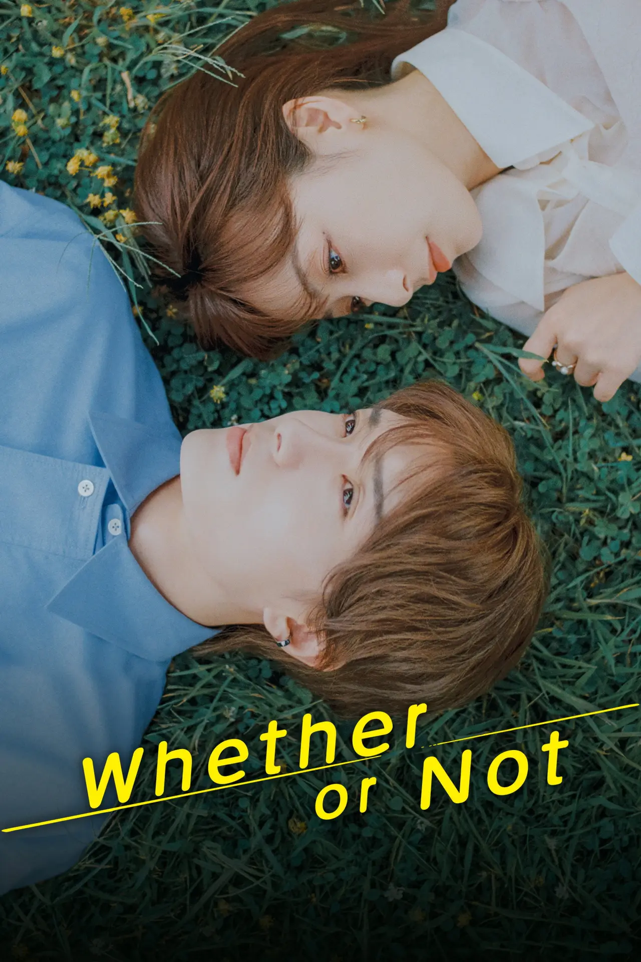 Series poster "Whether or Not"