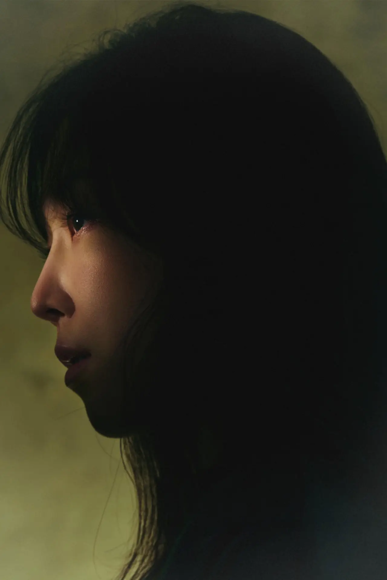 Series poster "The Perfect Lie"