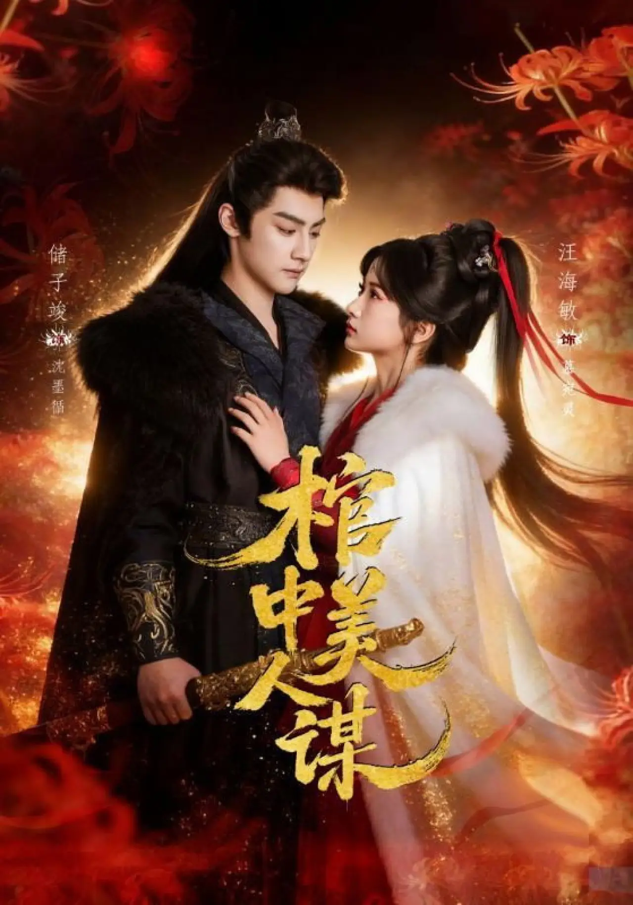 Series poster "棺中美人谋"